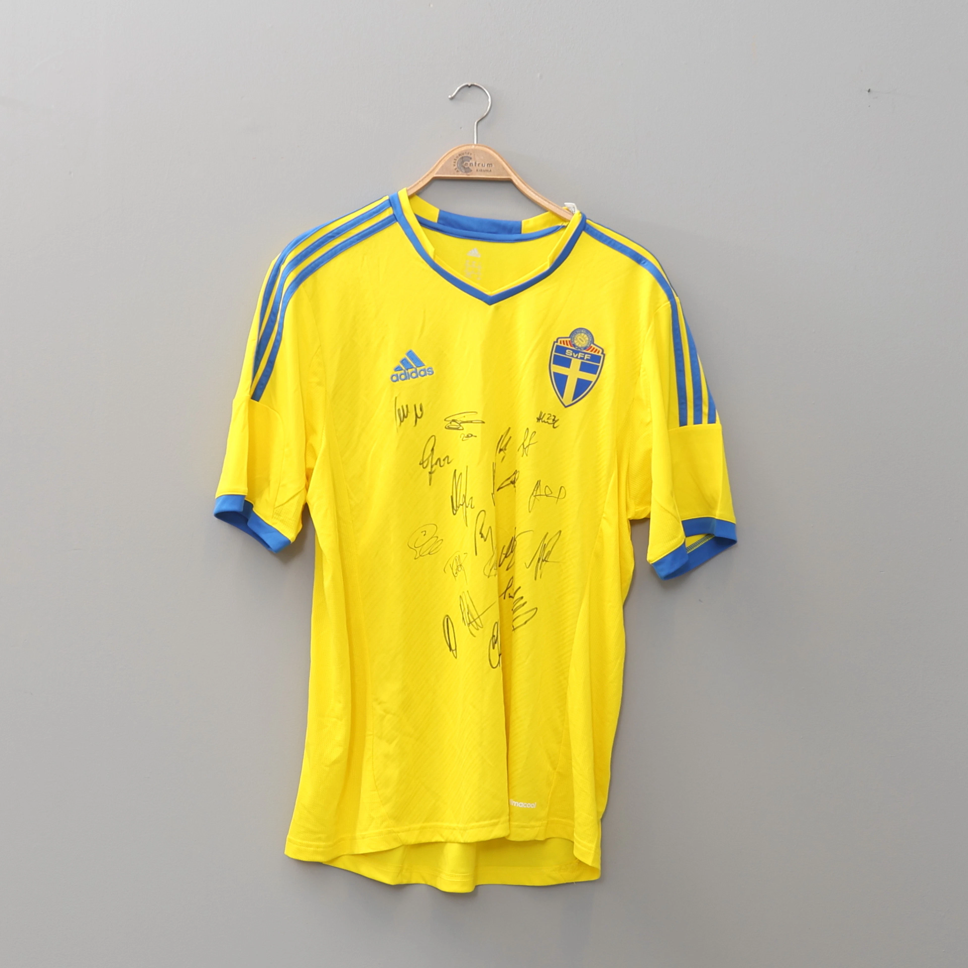 FOTBOLLSTRÖJA, signerad av Svenska landslaget EM 2012 i Ukraina.