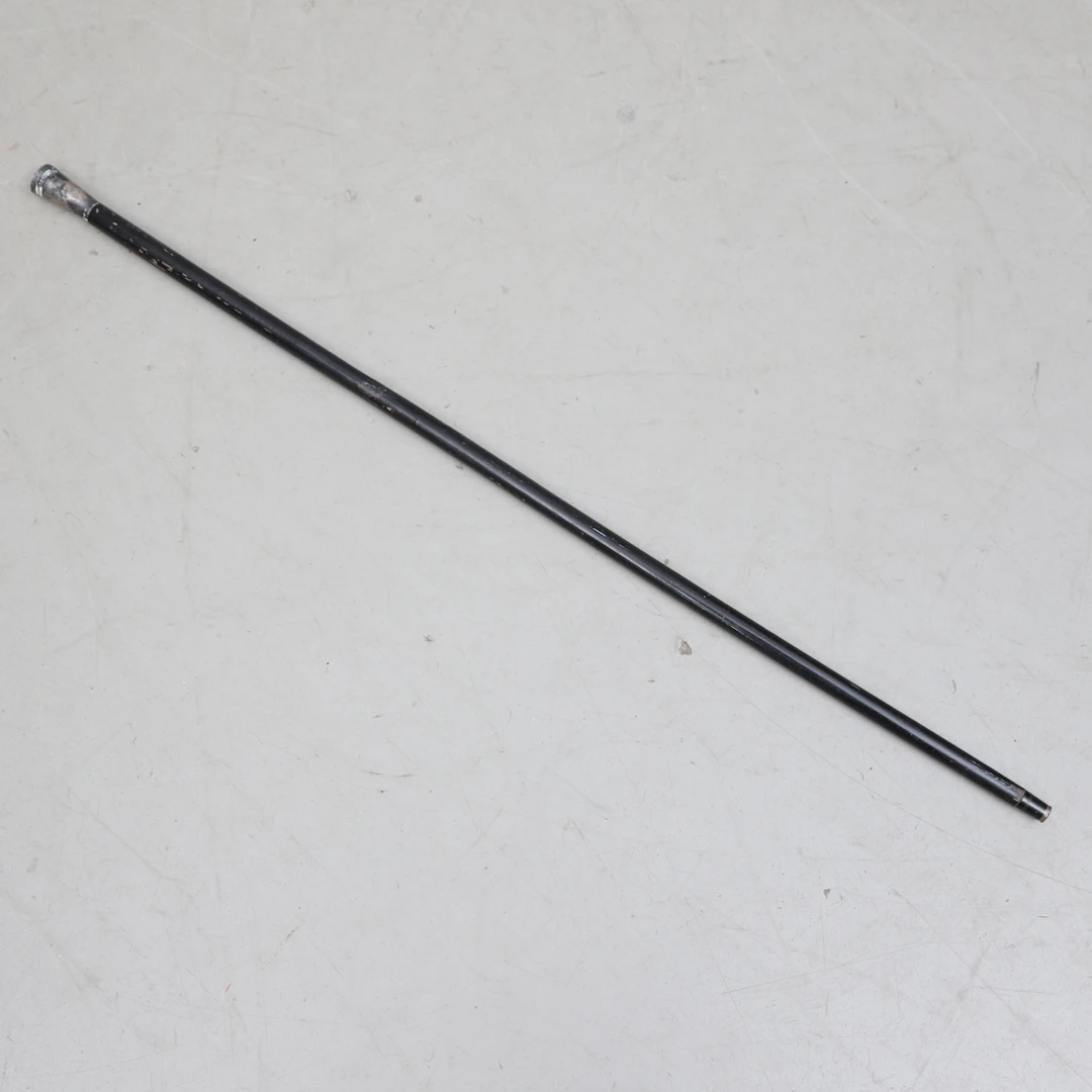 STUDENTKÄPP, trä/silver, Mgab, 1966.