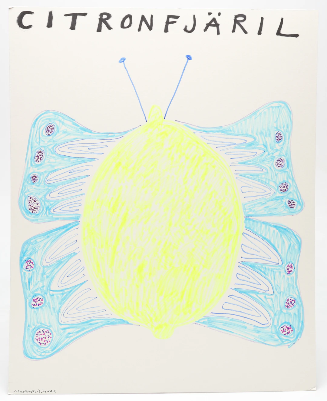 MARTIN MÖLDENER. "Citronfjäril", tusch på passepartout, signerad.