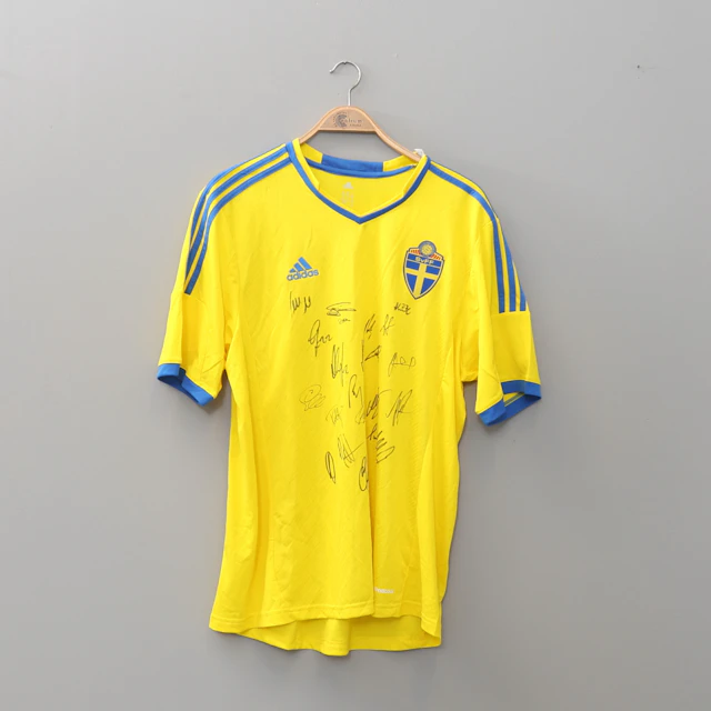 FOTBOLLSTRÖJA, signerad av Svenska landslaget EM 2012 i Ukraina.