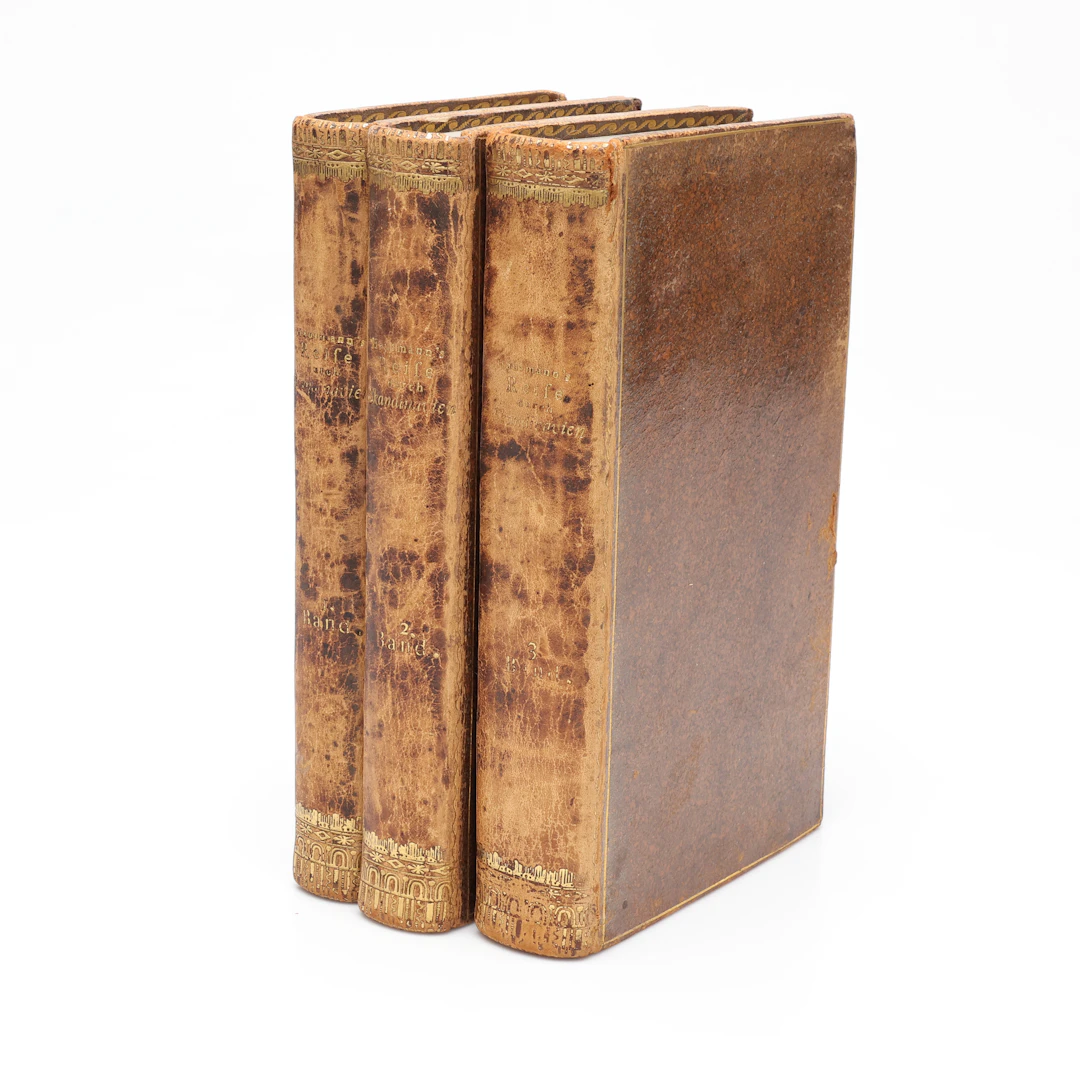HAUSMANN, BAND 1-3, JOH. FR. LUDW. SCARCE SCANDINAVIAN TRAVEL.