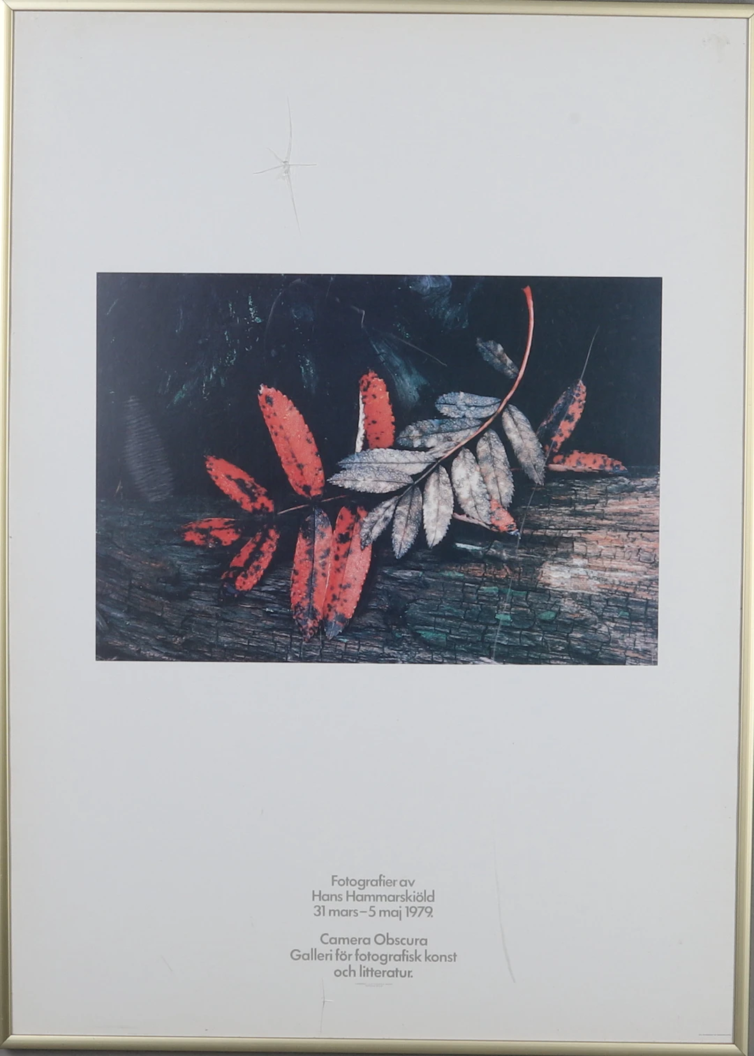 UTSTÄLLNINGSAFFISCH, Fotografier av Hans Hammarskiöld 31 mars-5 maj
