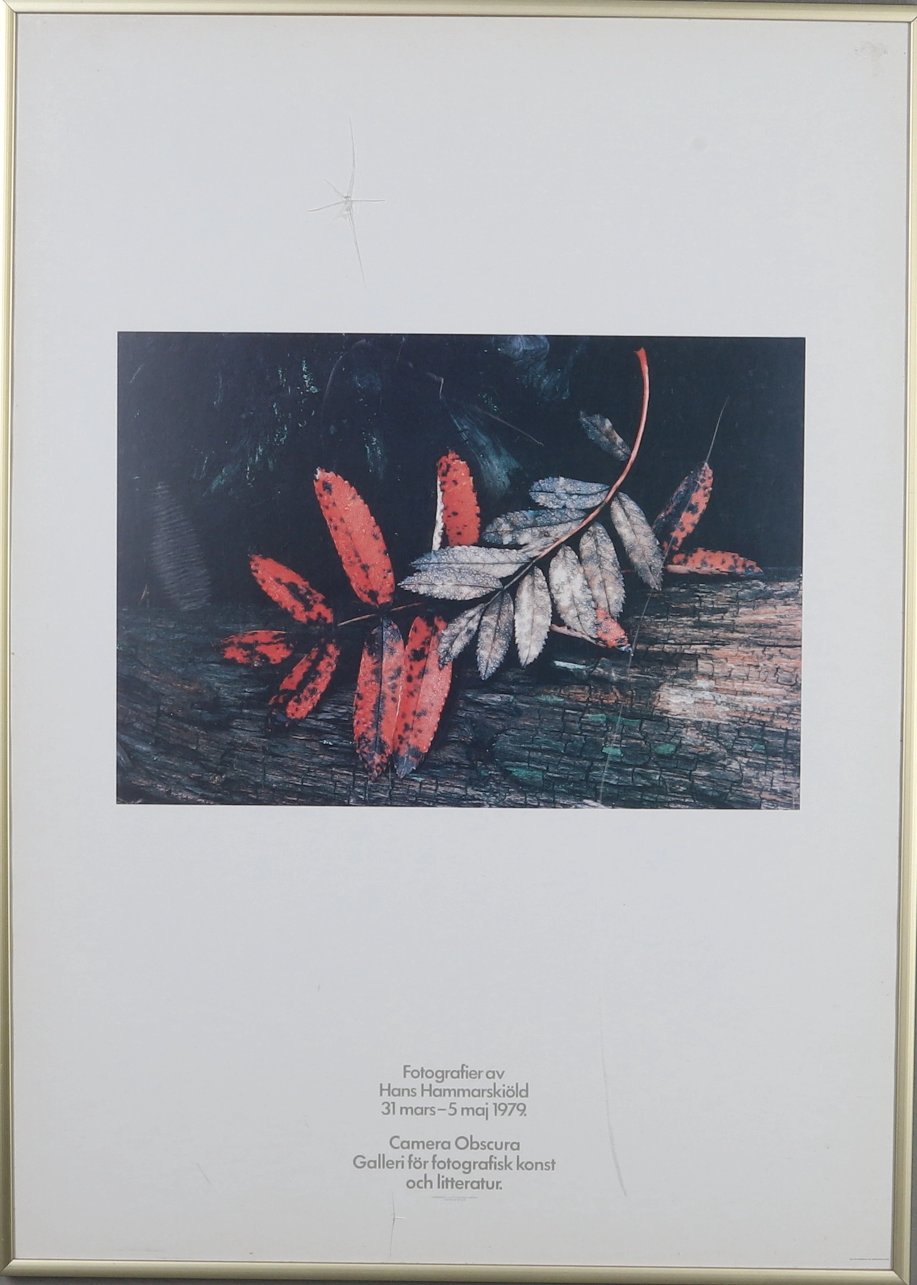 UTSTÄLLNINGSAFFISCH, Fotografier av Hans Hammarskiöld 31 mars-5 maj