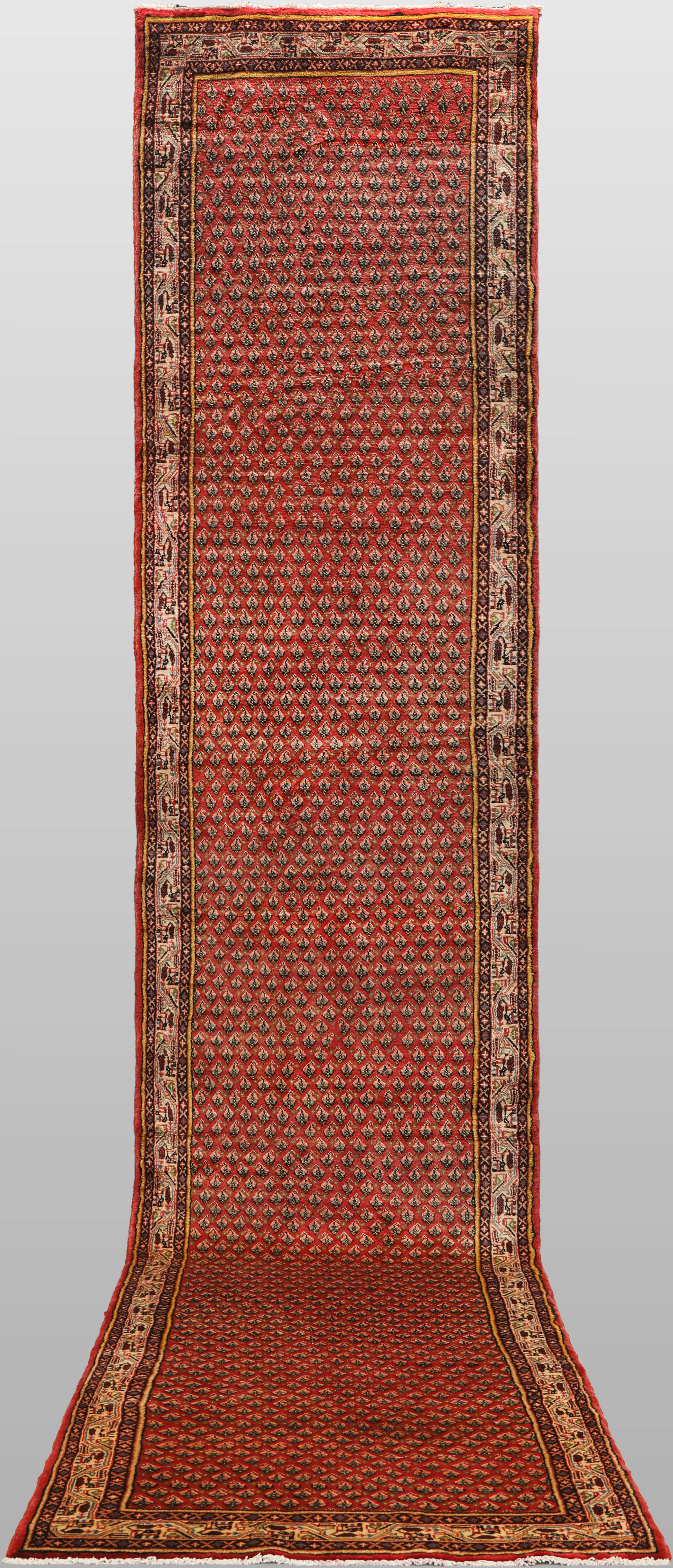 ORIENTMATTA. Saruk Mir gallerimodell, 543 x 94 cm.