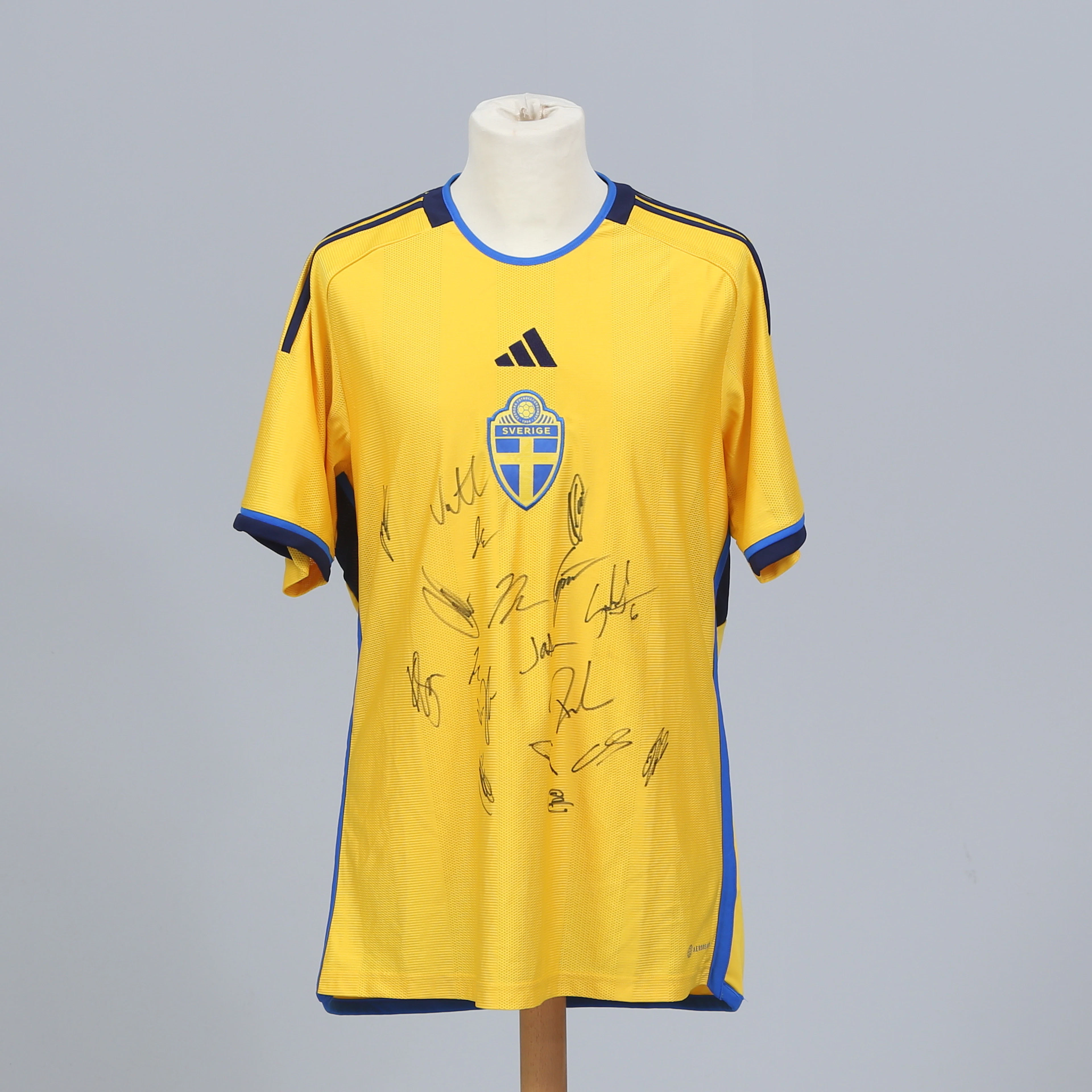 SUPPORTERTRÖJA, med autografer från delar av svenska herrlandslaget.