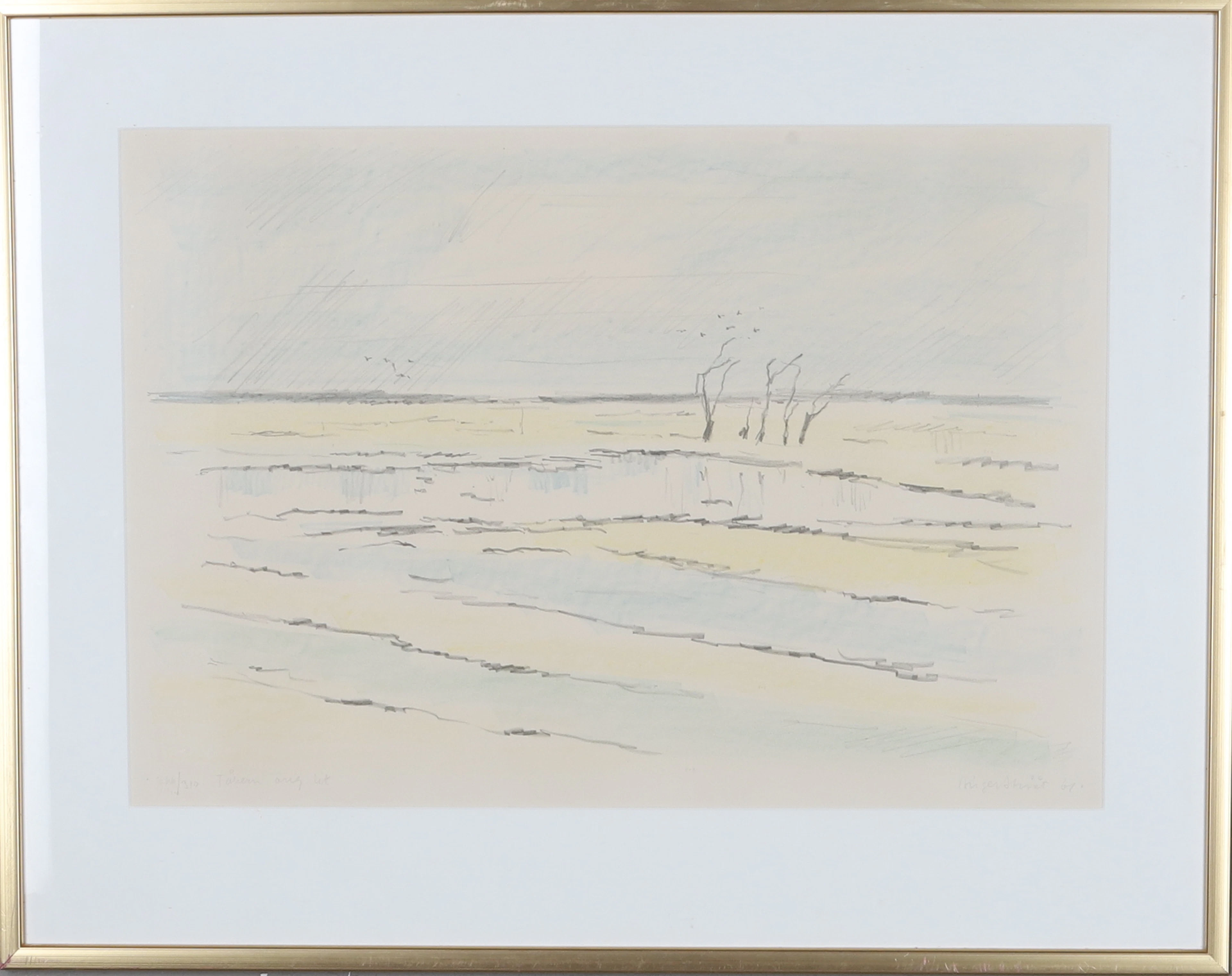 BIRGER STRÅÅT. "Tåkern", litografi, signerad, numrerad 266/319, pch