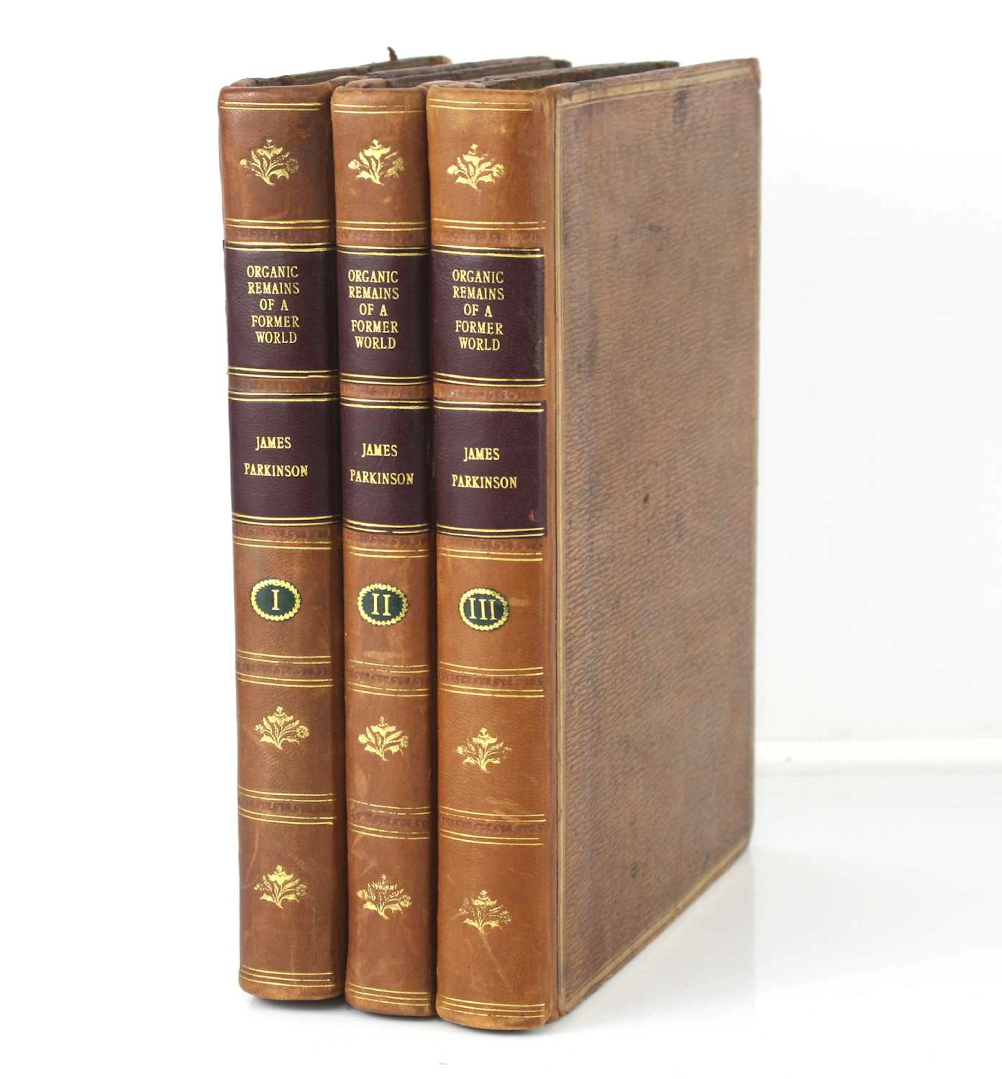 Lot 173 - Parkinson, James; Organic remains of a