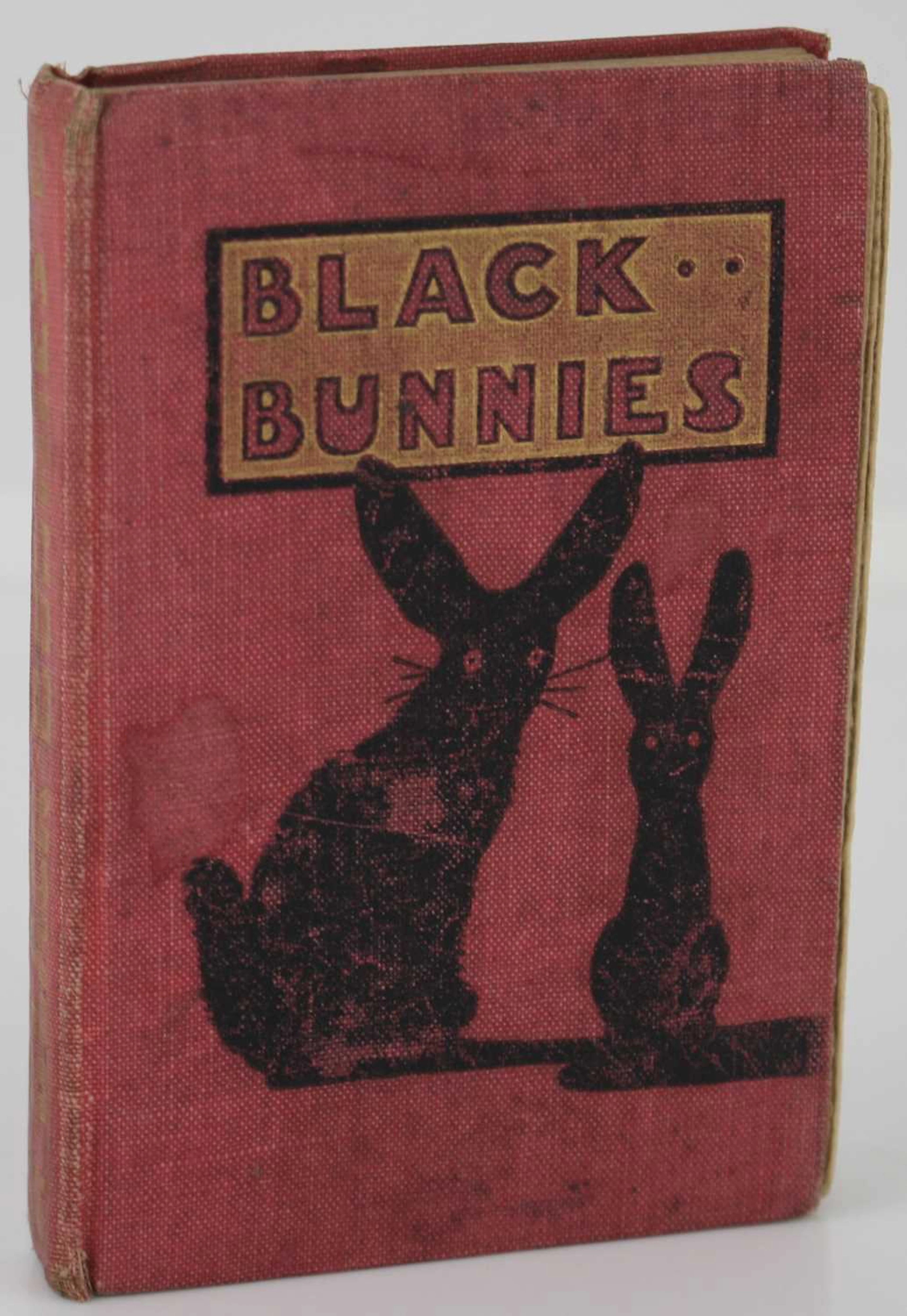 CHILDREN'S: Robinson, Charles: Black Bunnies, 1st