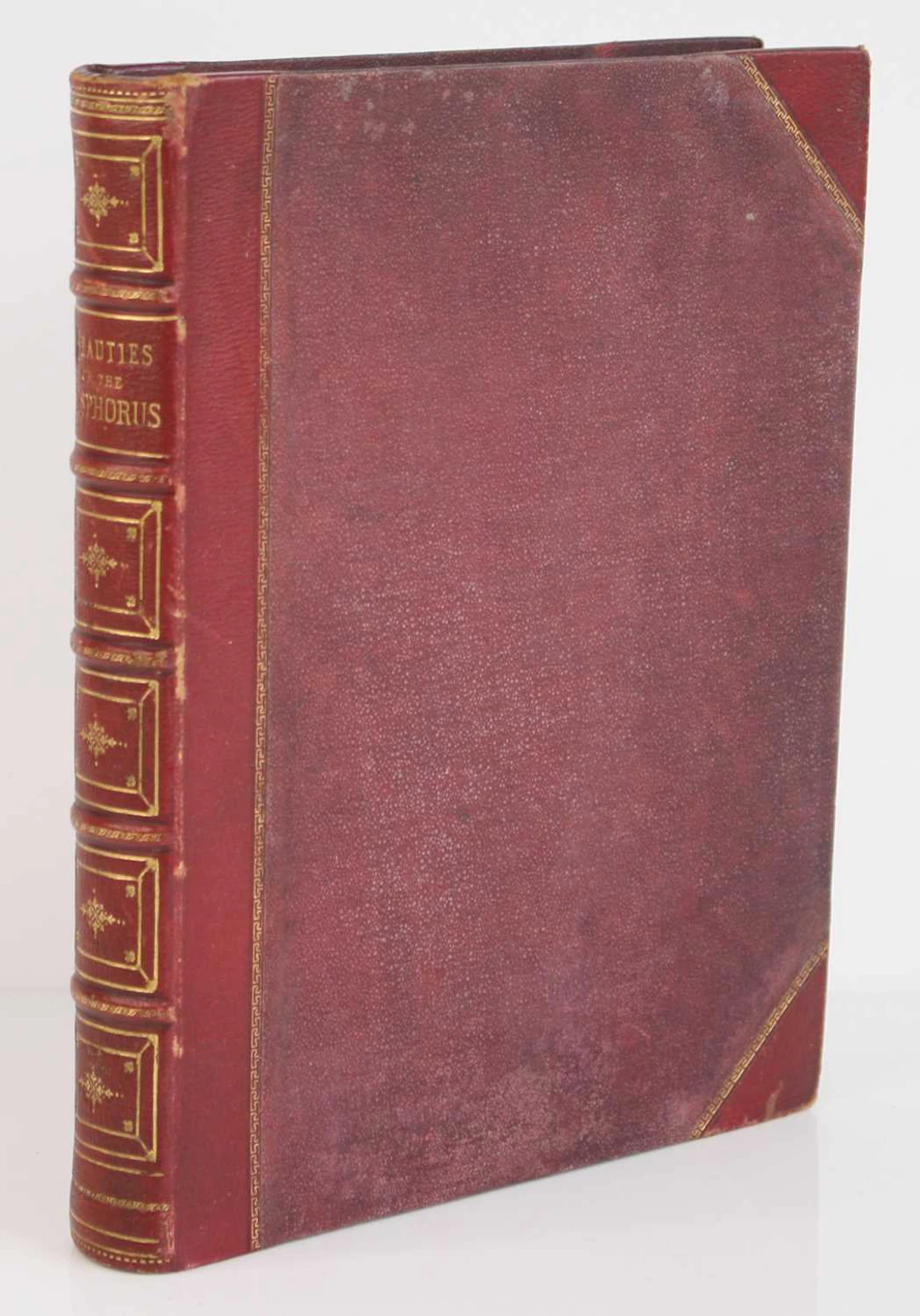 Lot 222 - Pardoe, Julia: The Beauties of the Bosphorus.