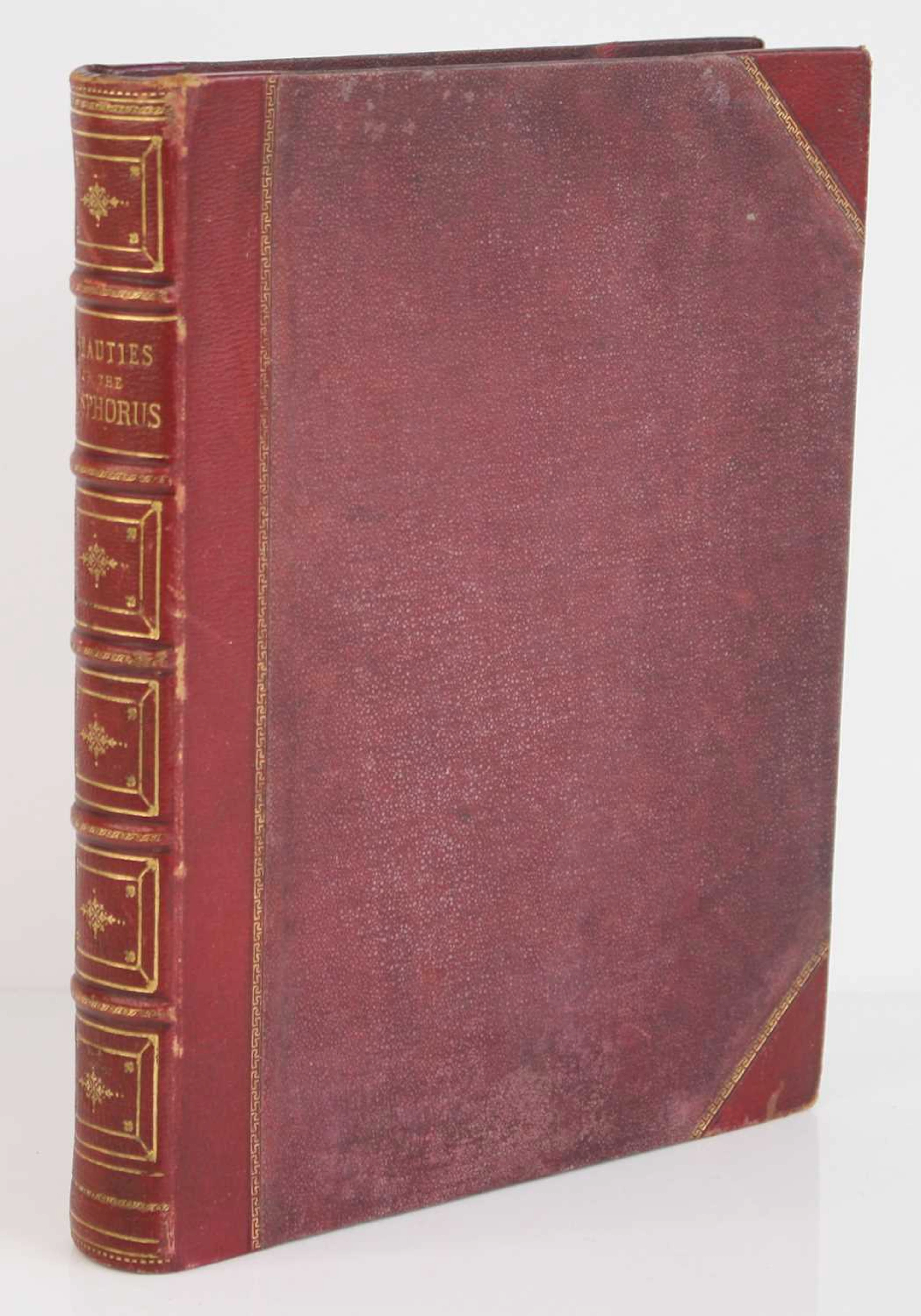 Lot 222 - Pardoe, Julia: The Beauties of the Bosphorus.