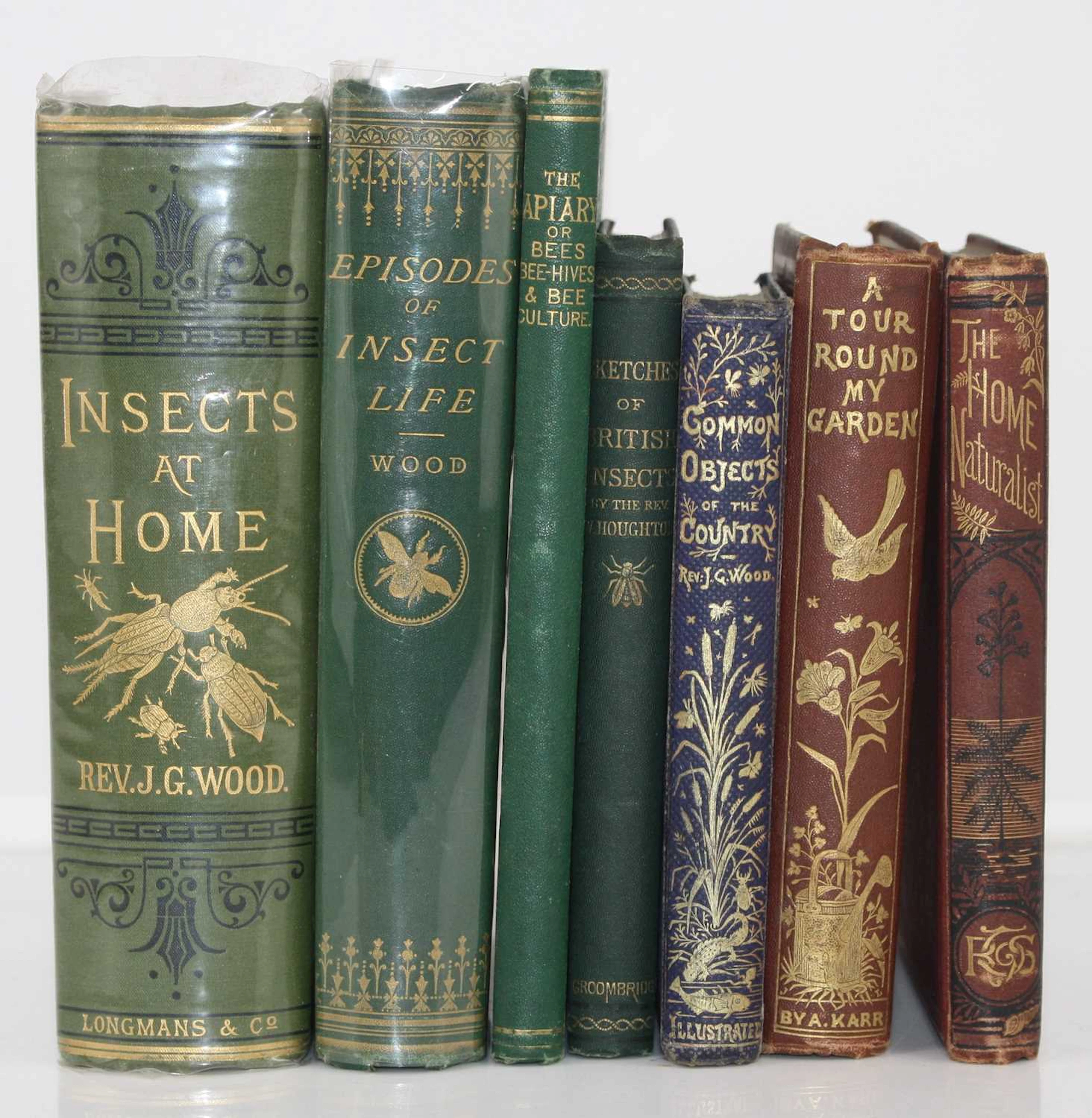 Lot 180 - Wood, Rev J.G.; Insects at Home, Longmans