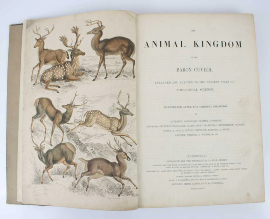 SCIENCE & THE NATURAL WORLD: MacGillivray, William
