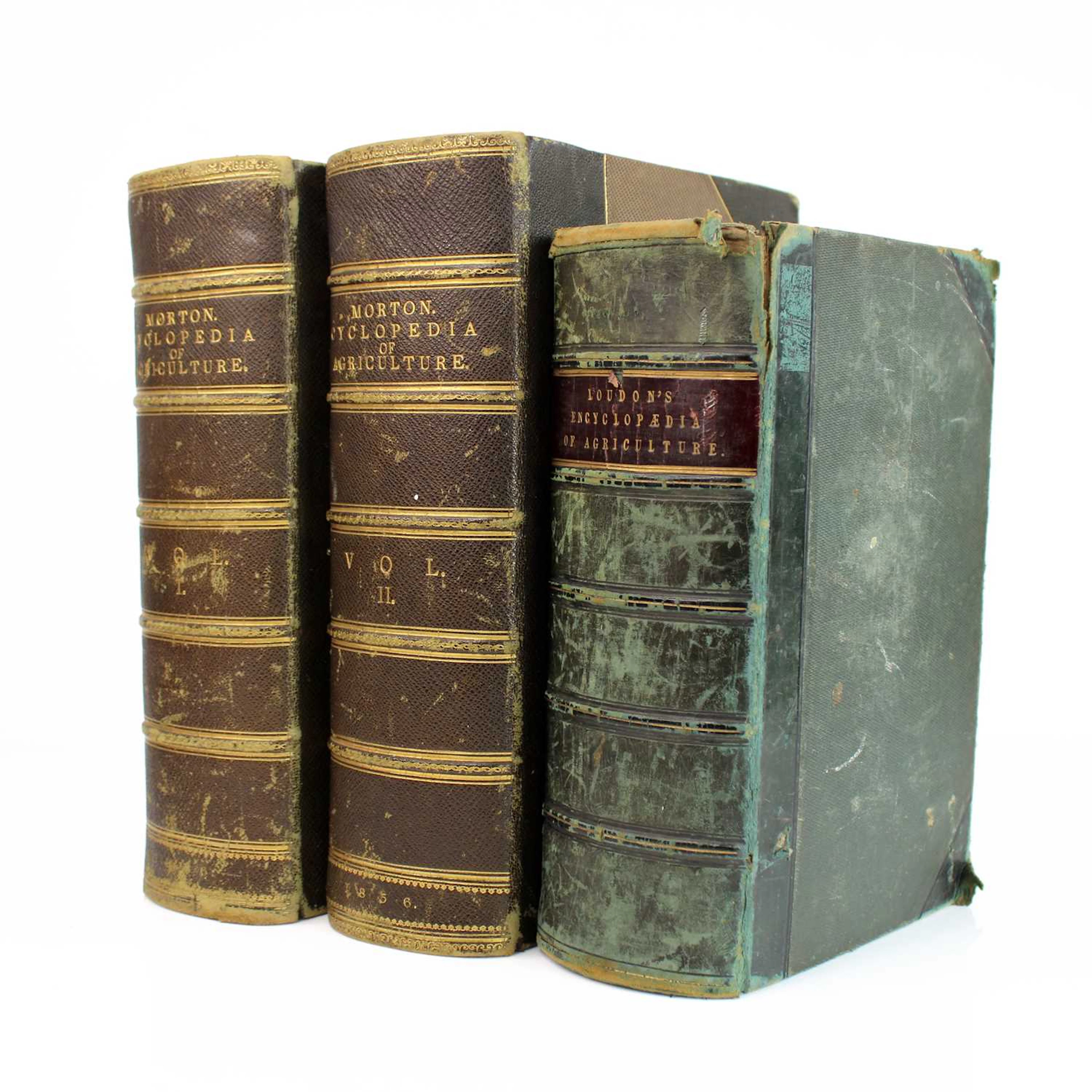 Lot 2 - Loudon, John Claudius: An Encyclopaedia Of