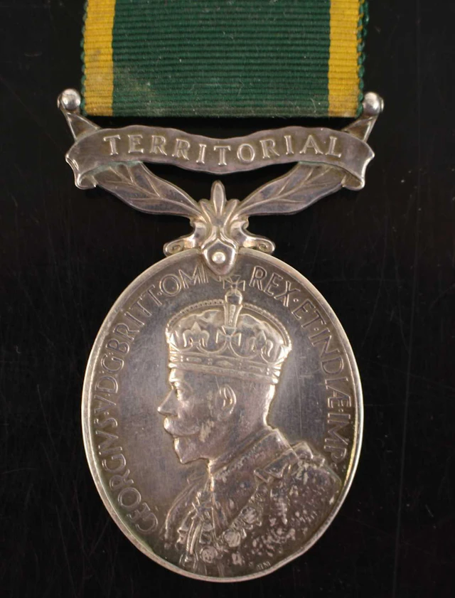 Lot 1156 - A Geo. V Territorial Efficient Service