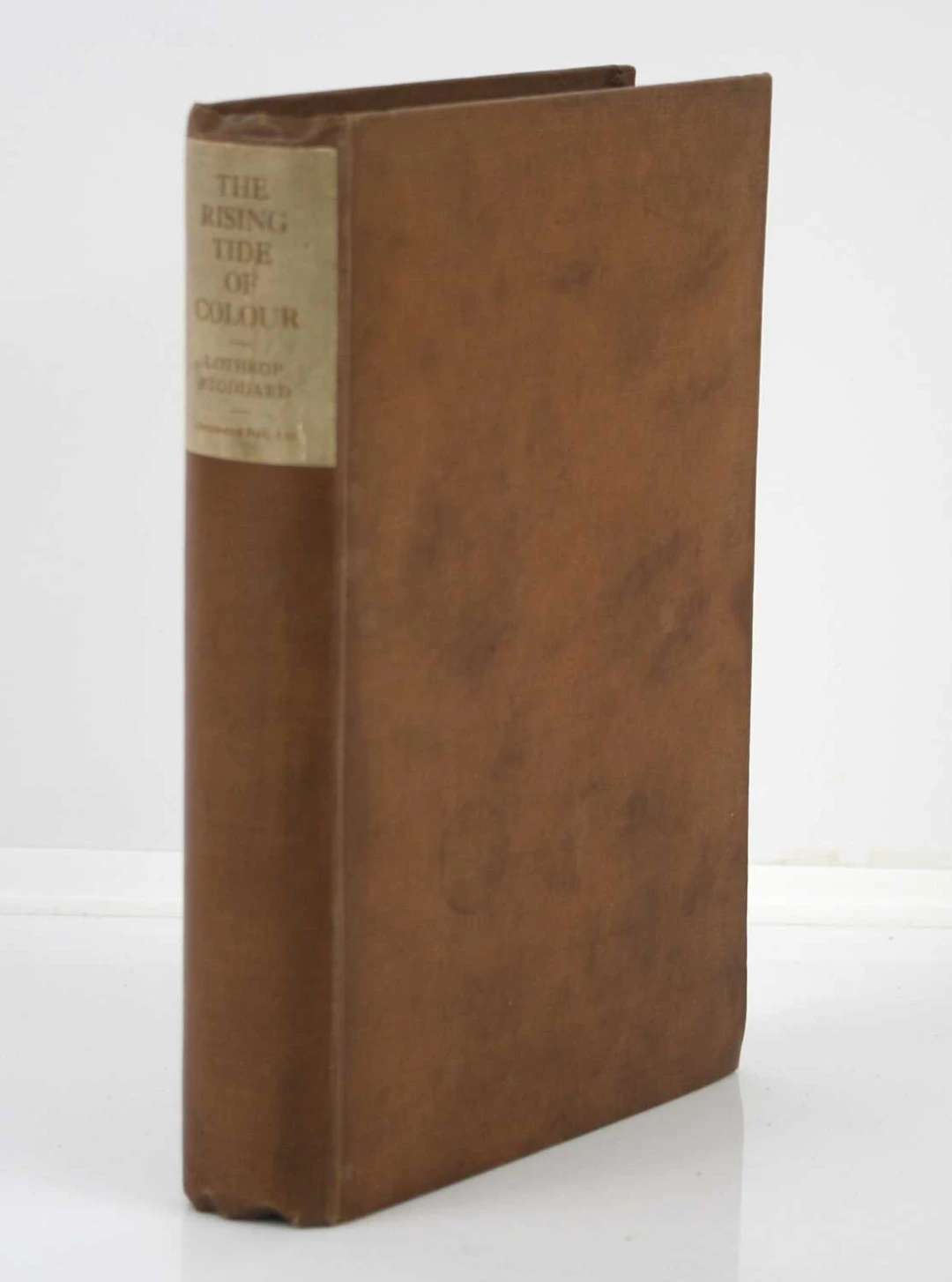 HISTORY & POLITICS; Stoddard, Lothrop, The Rising Tide