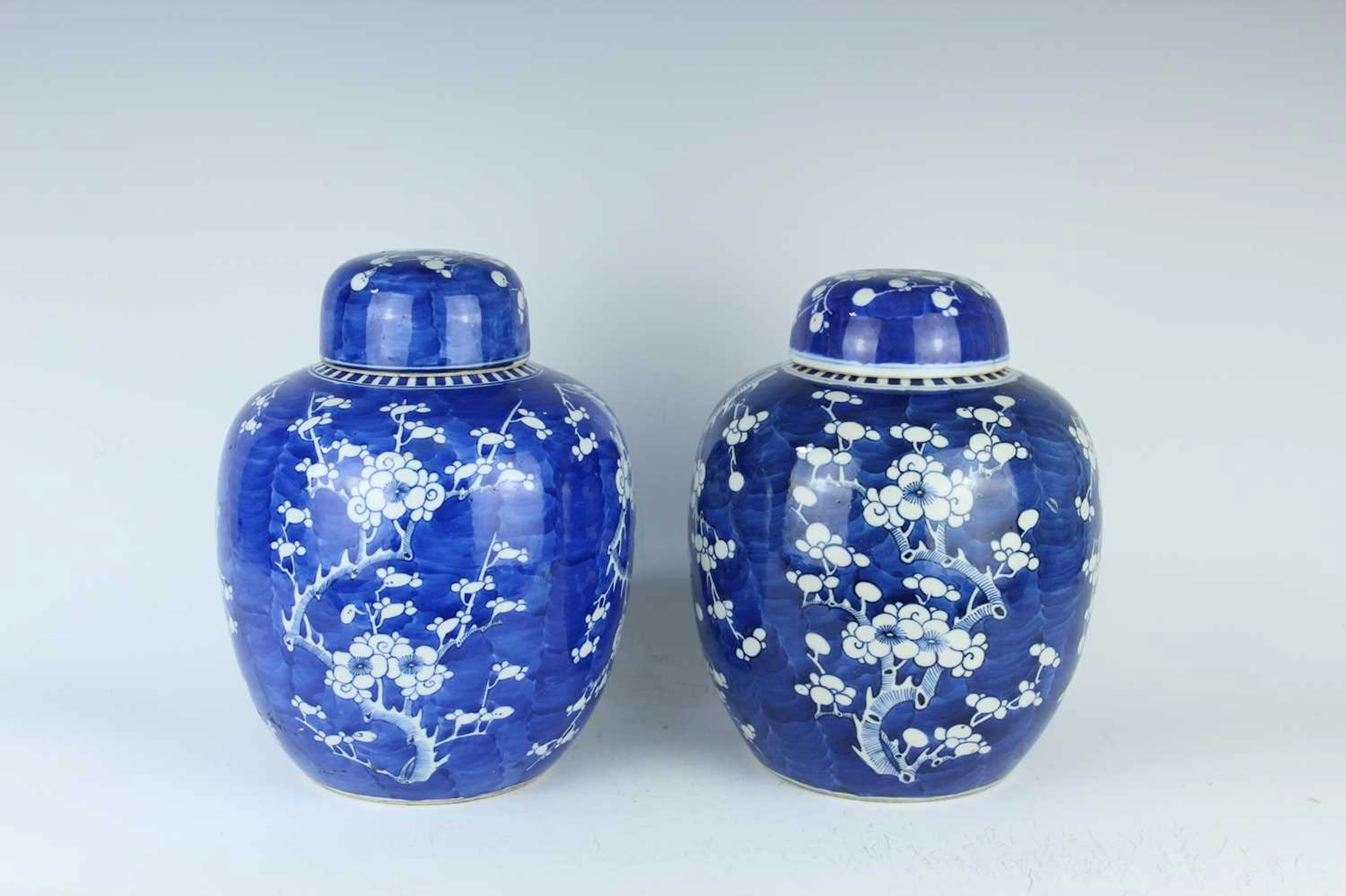 Lot 18 - A pair of large Chinese blue and white