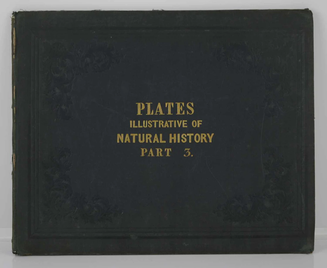 Lot 168 - Whymper, Josiah Wood: Thirty Plates