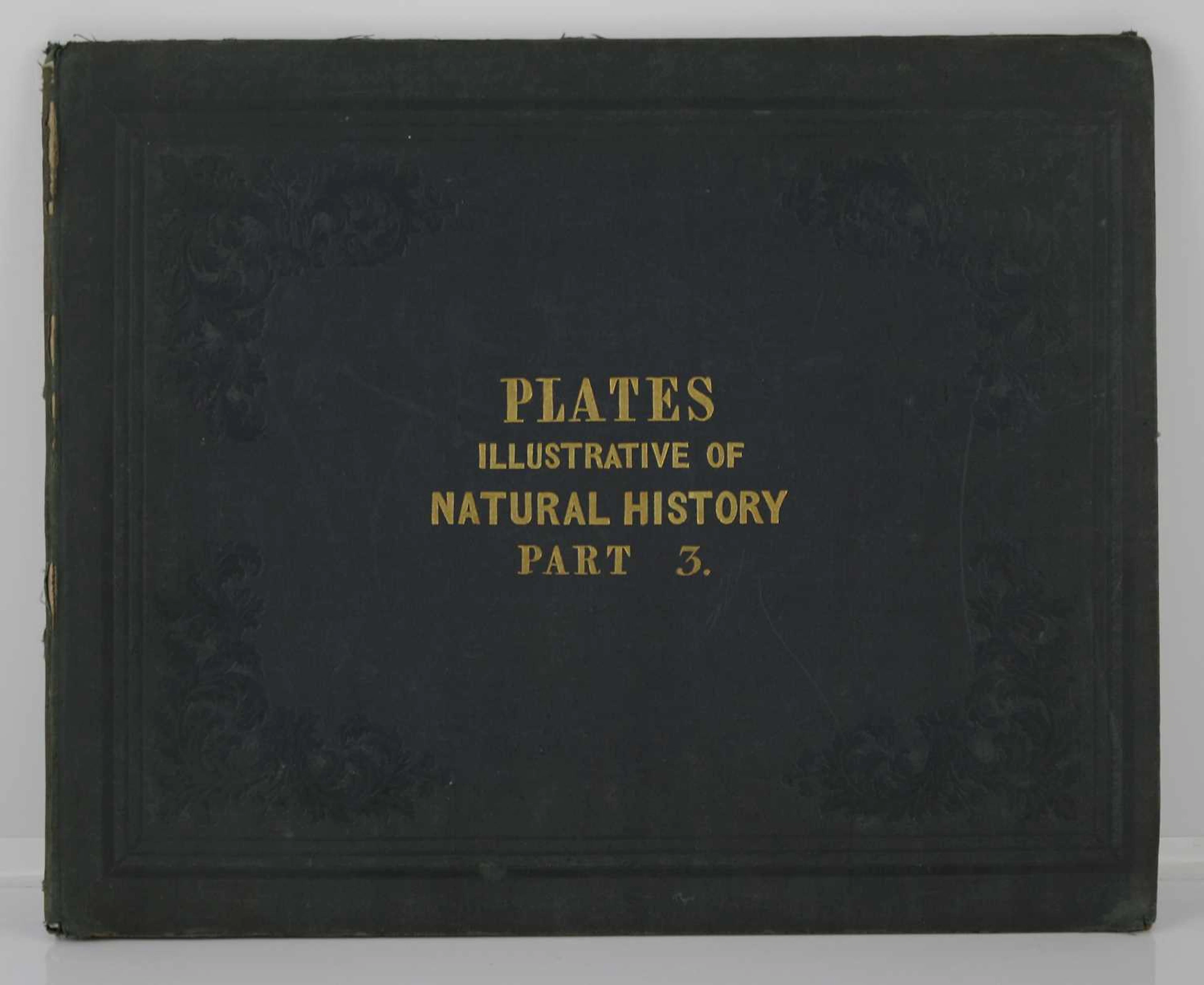 Lot 168 - Whymper, Josiah Wood: Thirty Plates