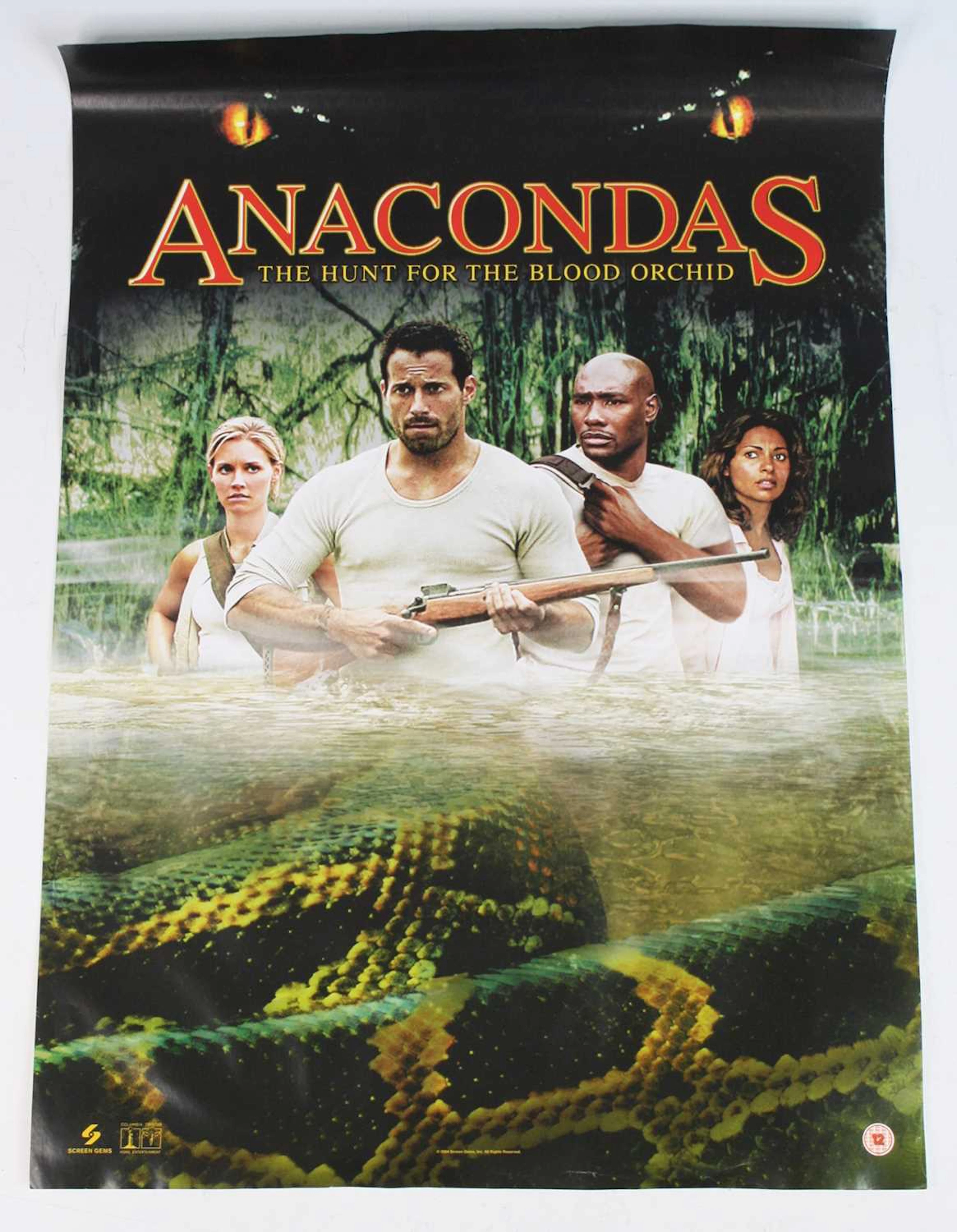 Lot 1123 - A collection of A2 film posters to include