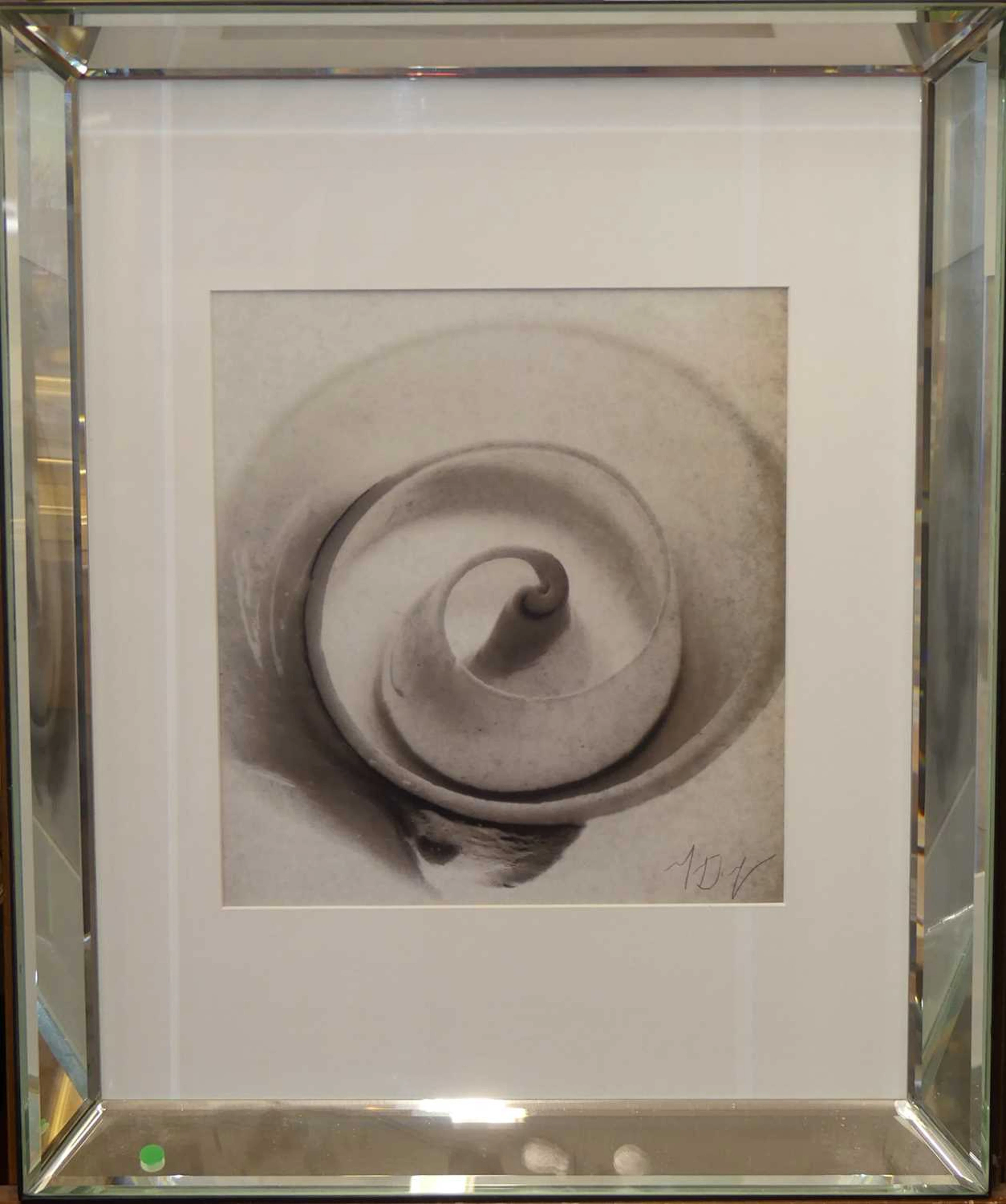 Lot 570 - A collection of contemporary monochrome