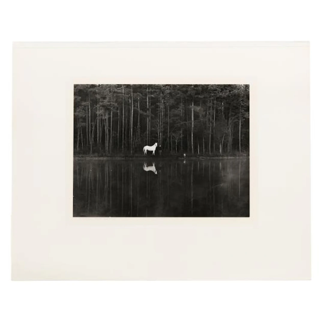 Caroline Vaughan (NC, 1949-2025), An Labarre, Bonnie, and Jody