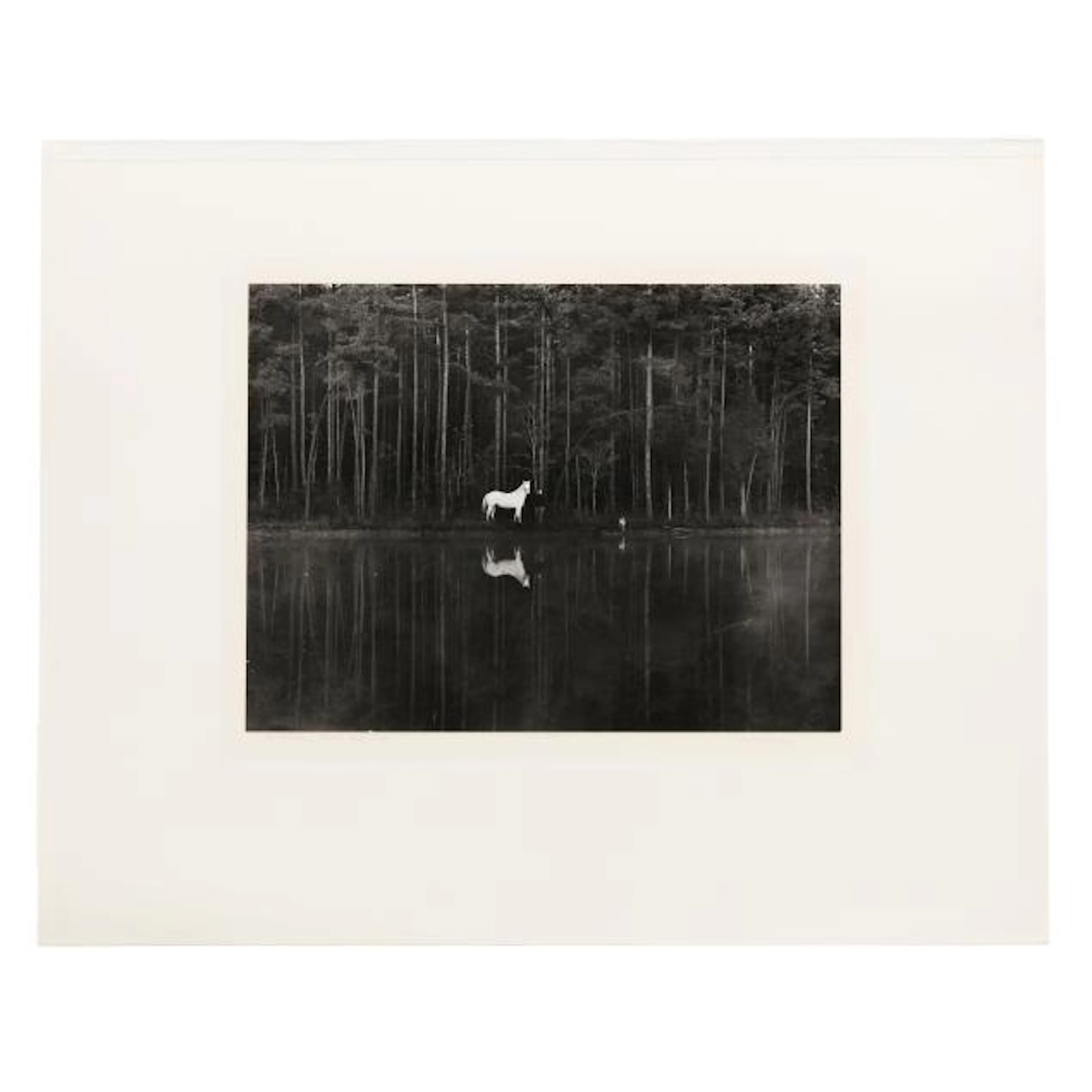 Caroline Vaughan (NC, 1949-2025), An Labarre, Bonnie, and Jody