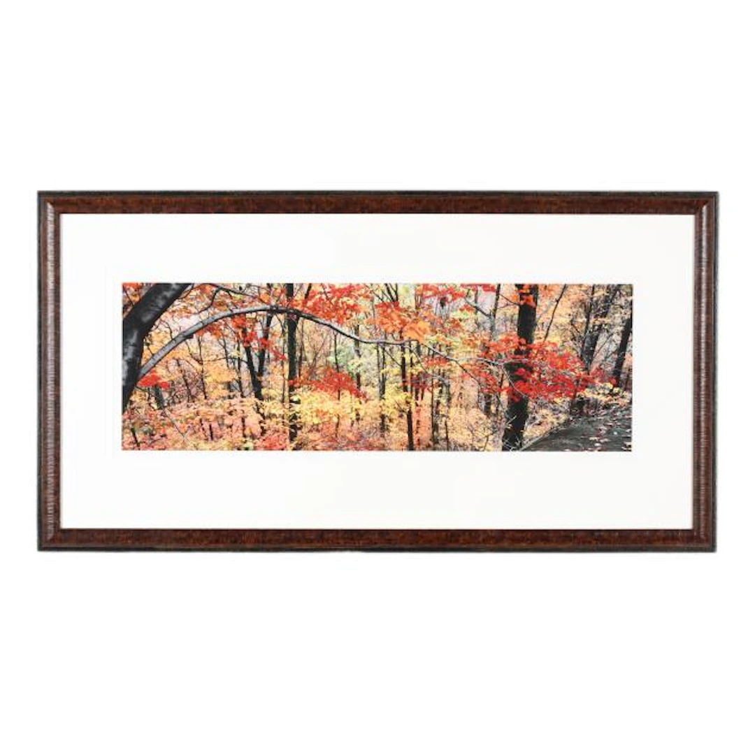 Barbara Southworth (American), Maple Branch