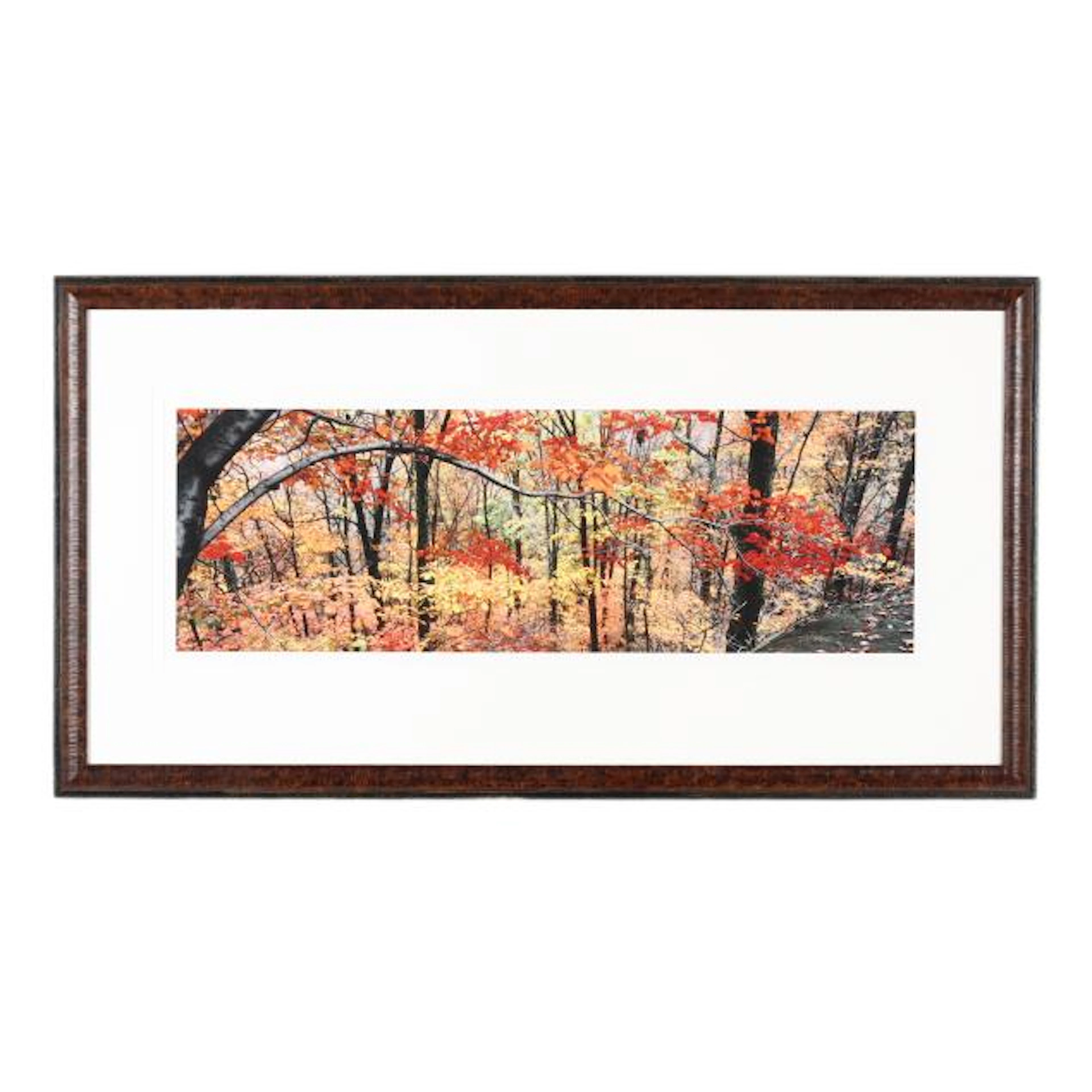 Barbara Southworth (American), Maple Branch