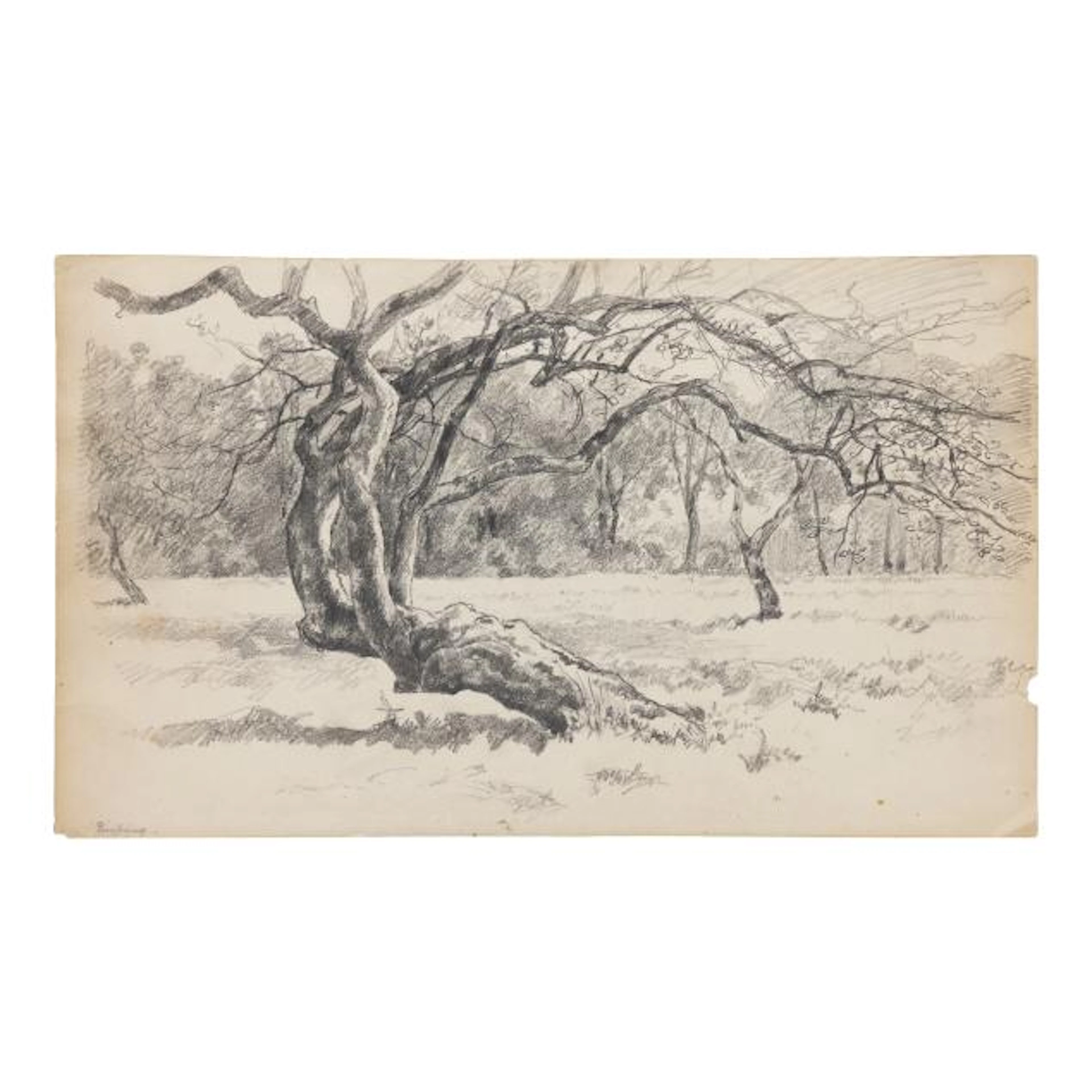 Henry Singlewood Bisbing (American, 1849-1933), Double-Sided Drawing