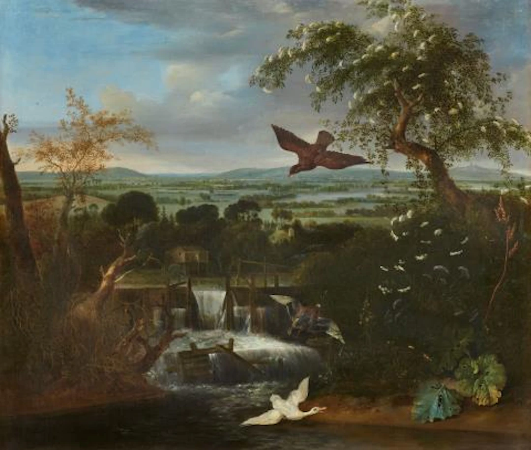 Matthias Withoos