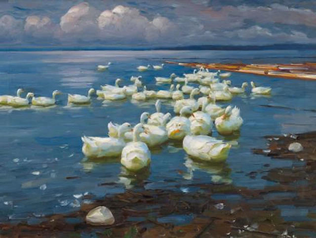 Alexander Koester