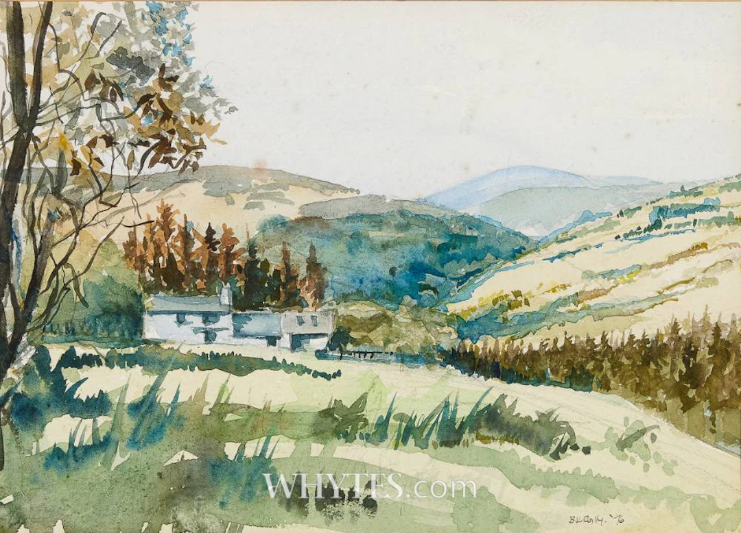 THE VALE OF CLARA, COUNTY WICKLOW, 1976