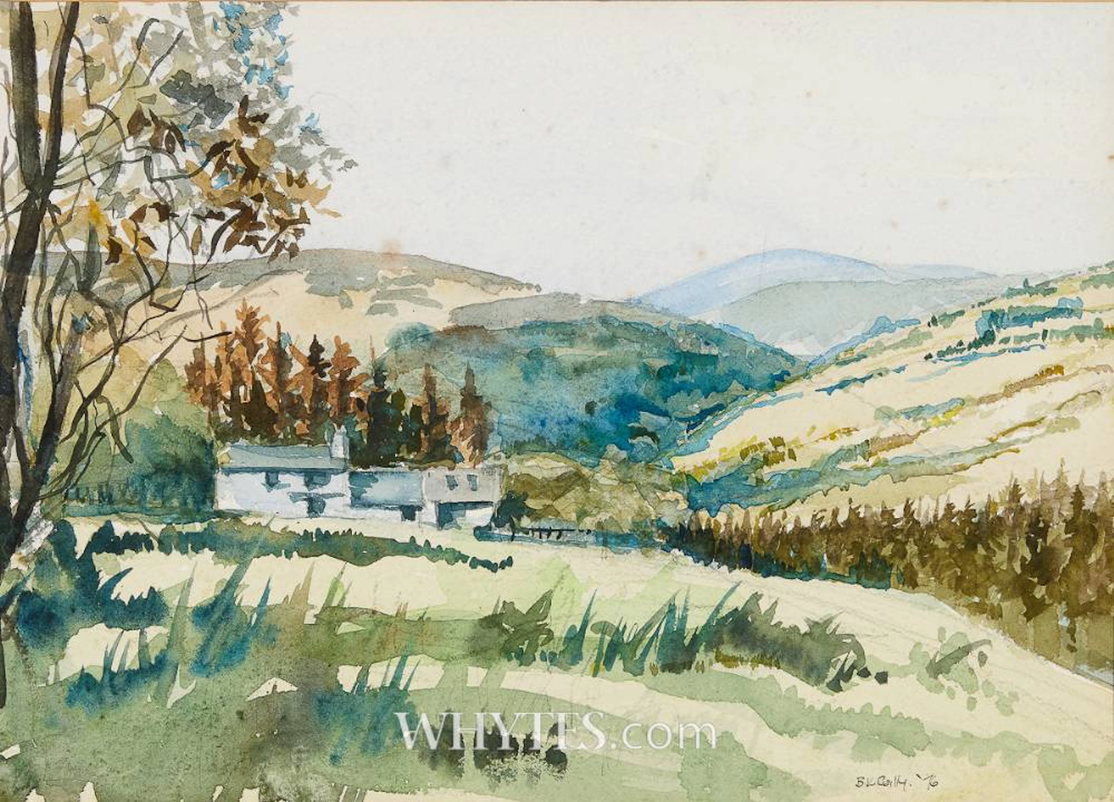THE VALE OF CLARA, COUNTY WICKLOW, 1976