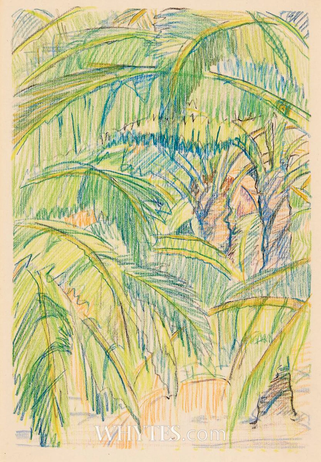 COCONUT PALMS