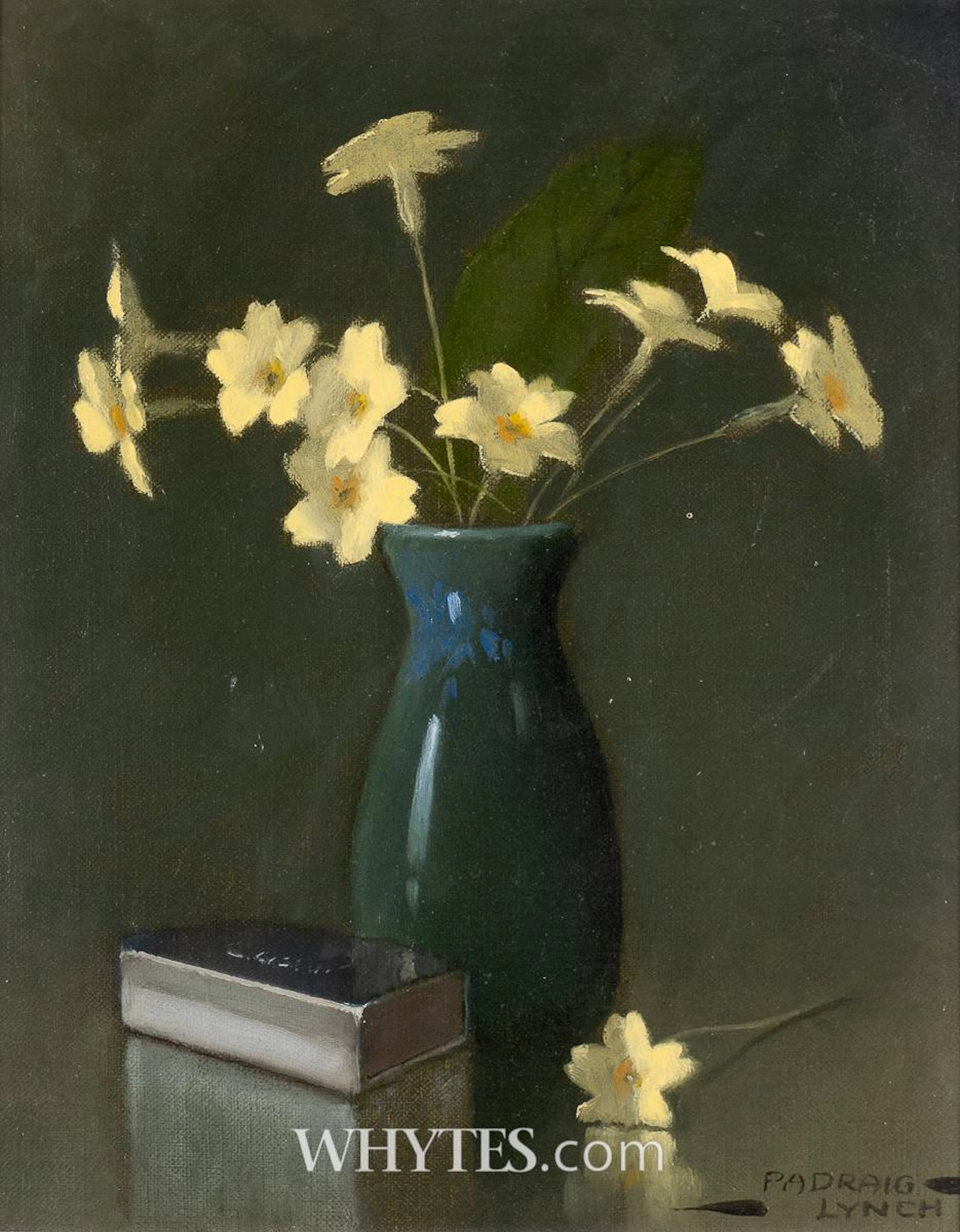 PRIMROSES, 1995