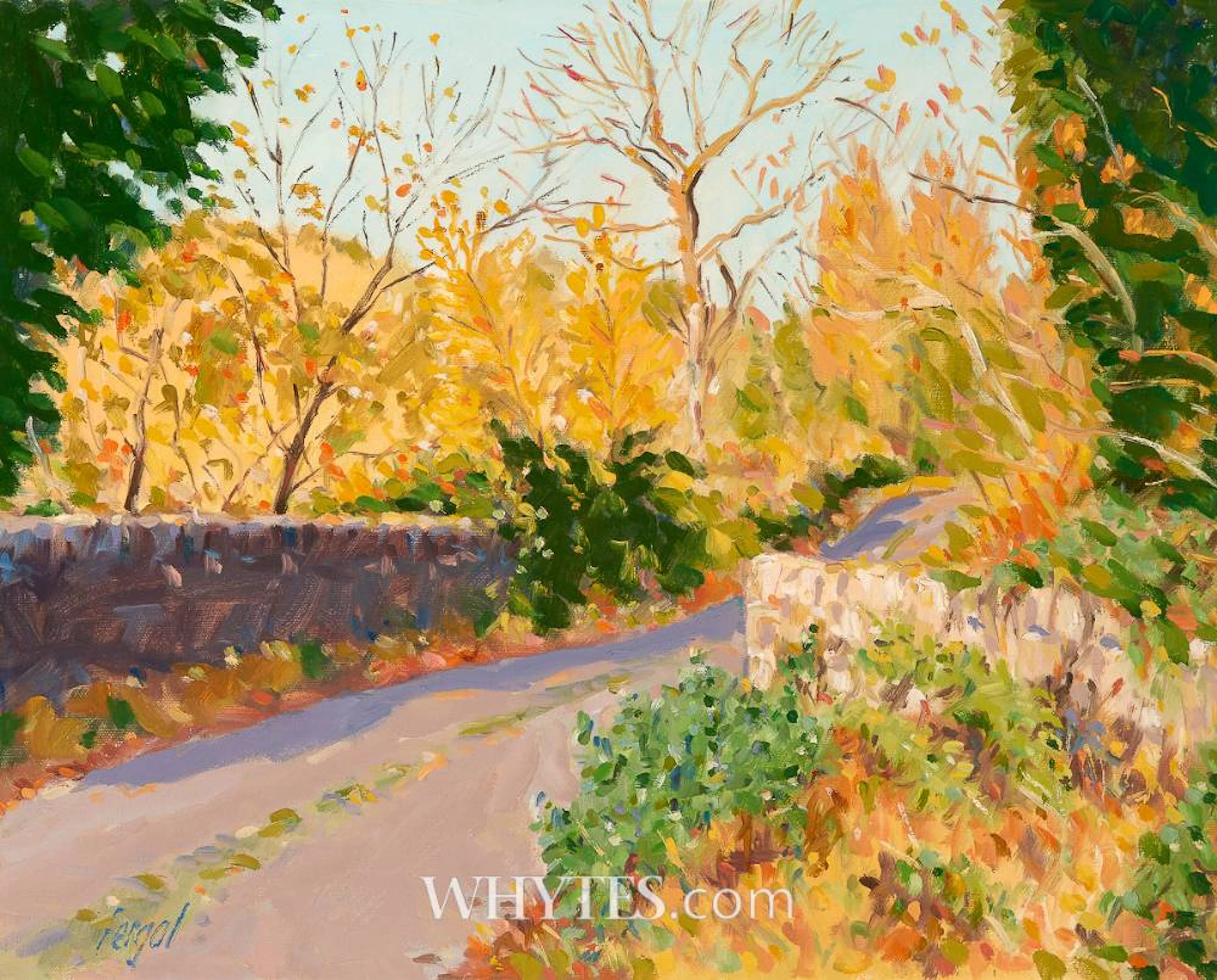 AUTUMN NEAR KILPEDDER, COUNTY WICKLOW