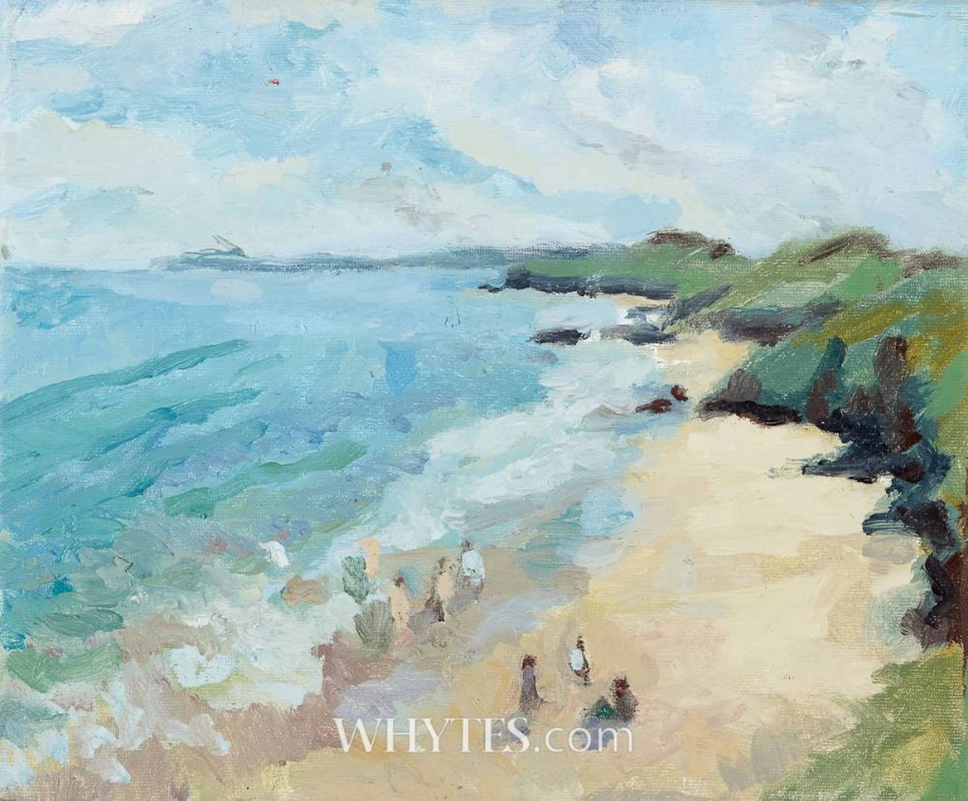 VISITORS SWIM BALLYMONEY, COUNTY ANTRIM