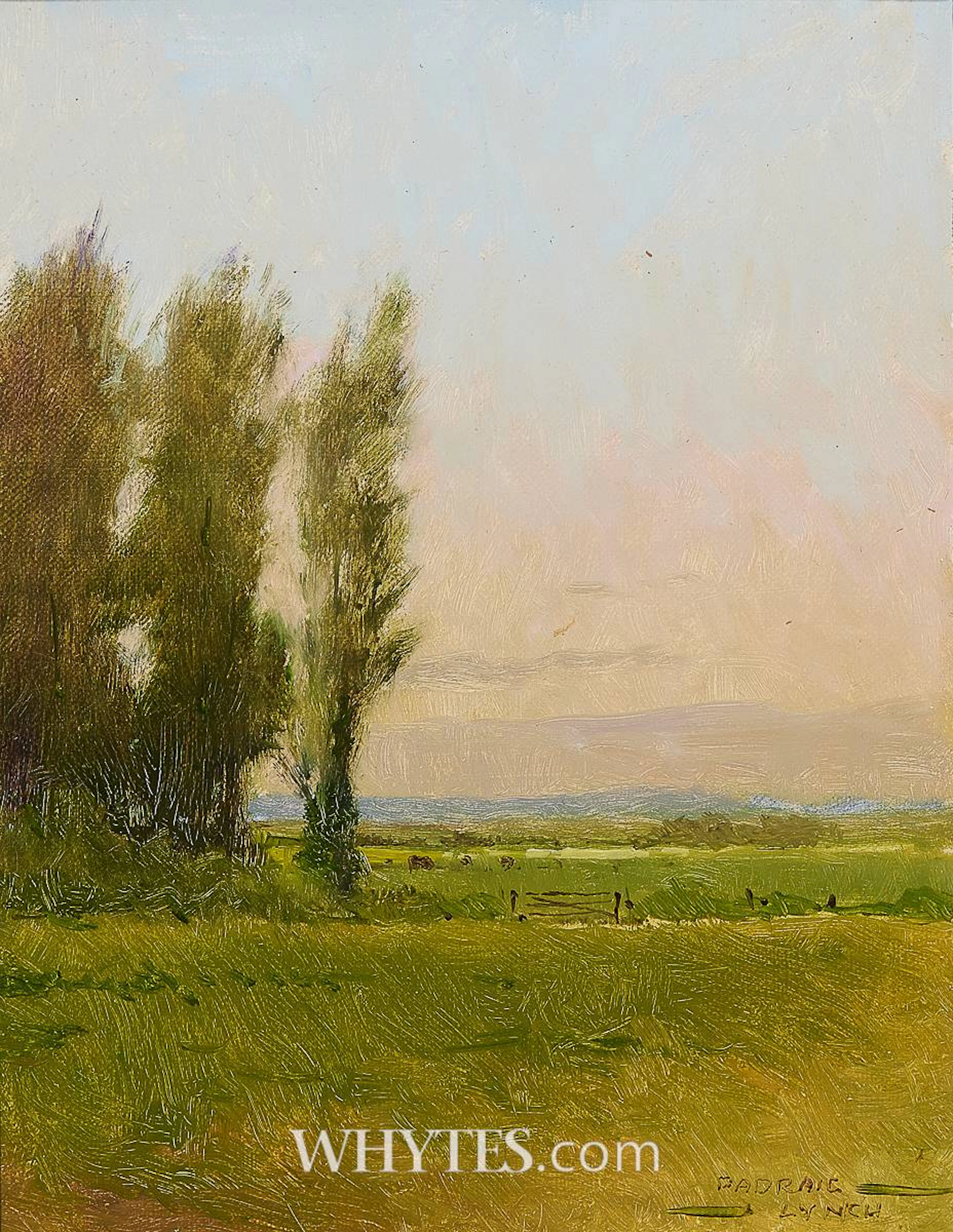 LOUTH PASTORAL