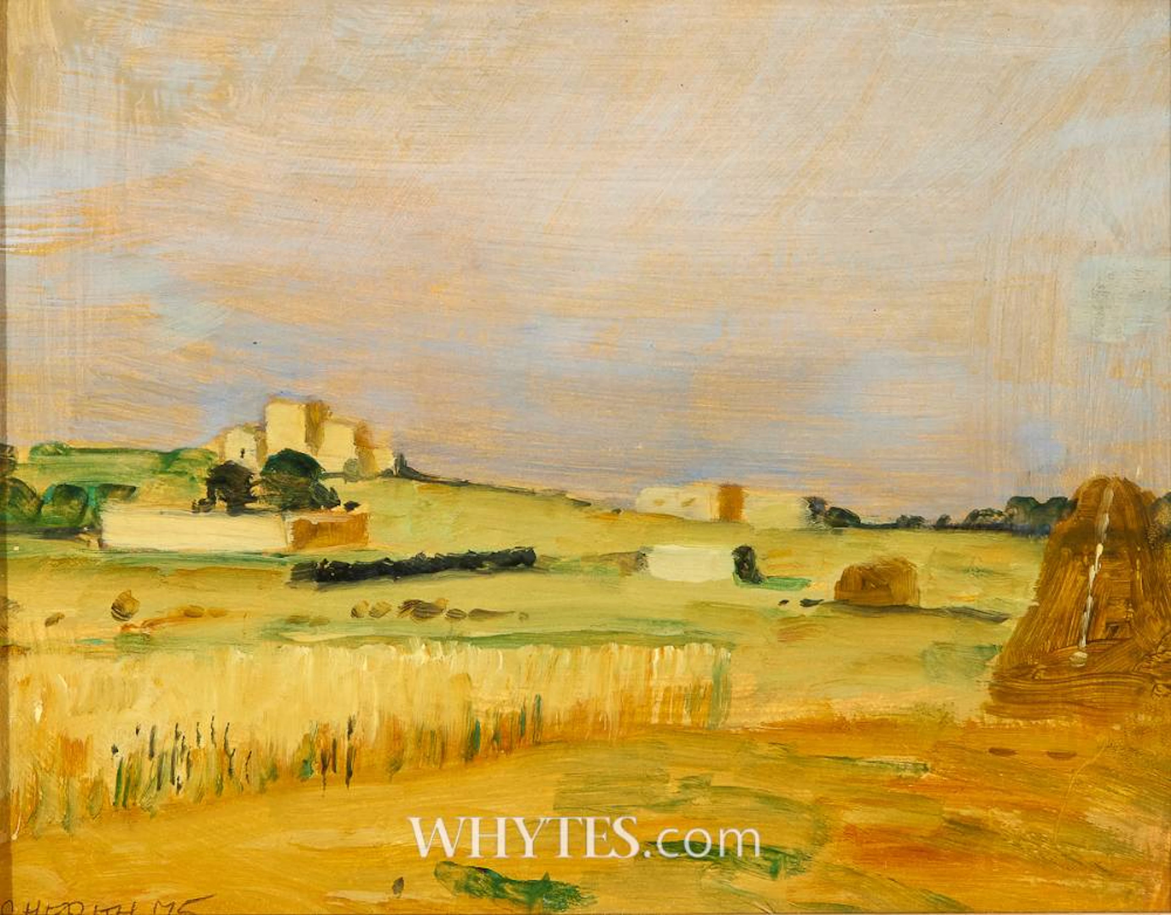 MALTA LANDSCAPE, CORNFIELD