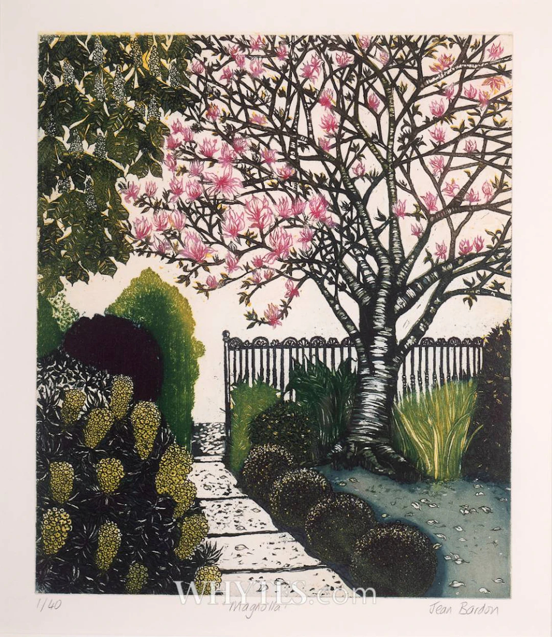MAGNOLIA