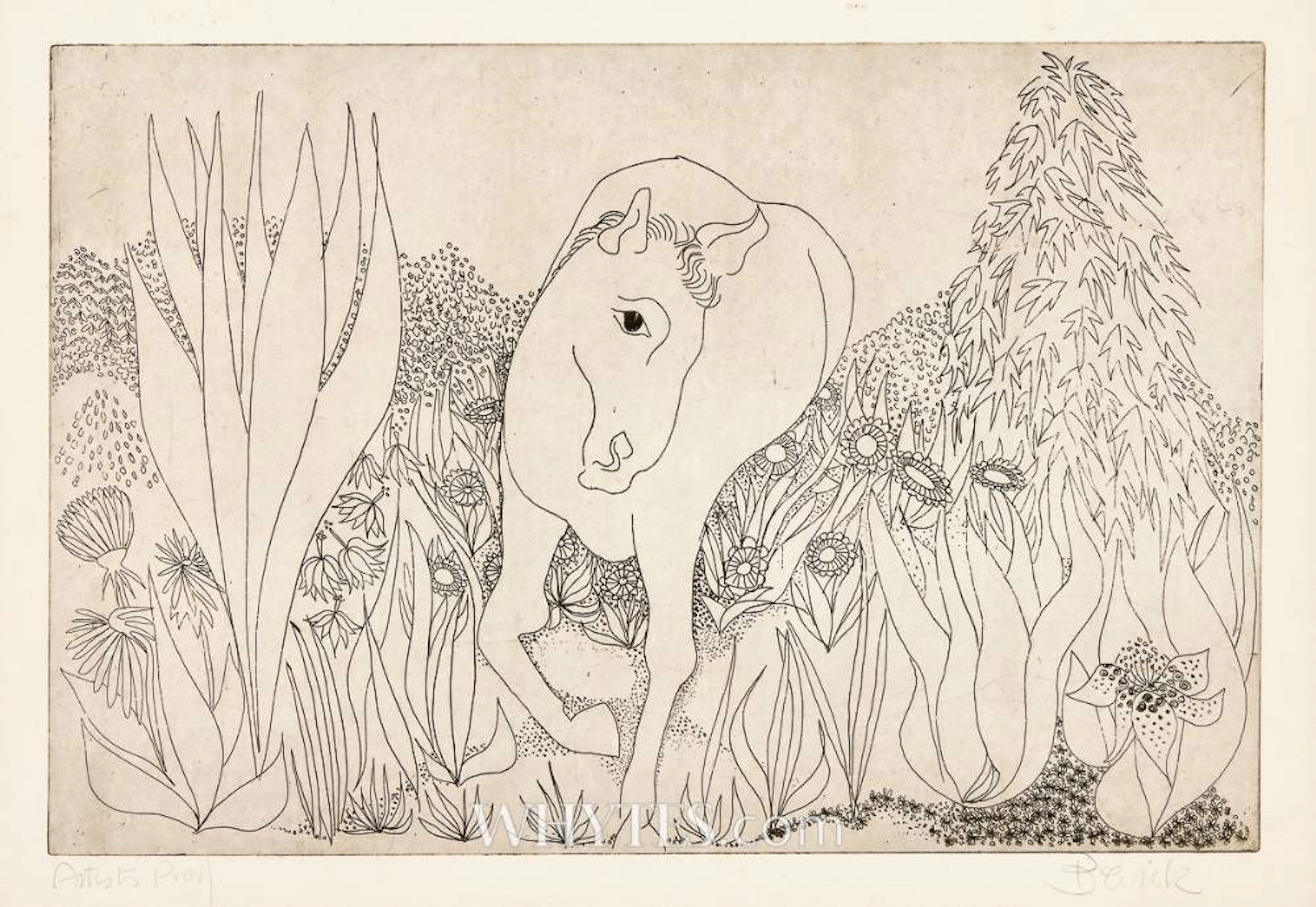 HORSE IN THE JUNGLE