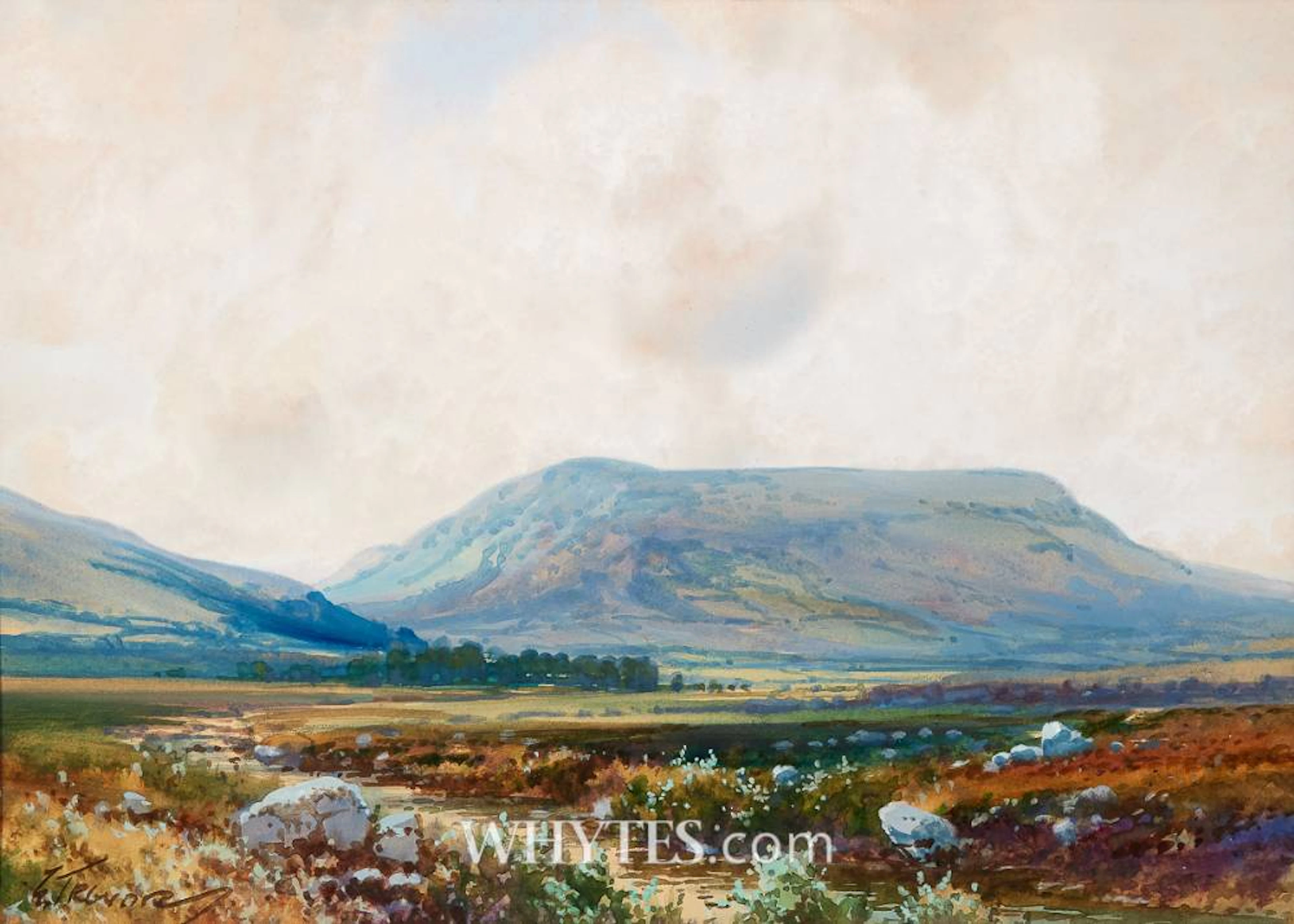 LANDSCAPE