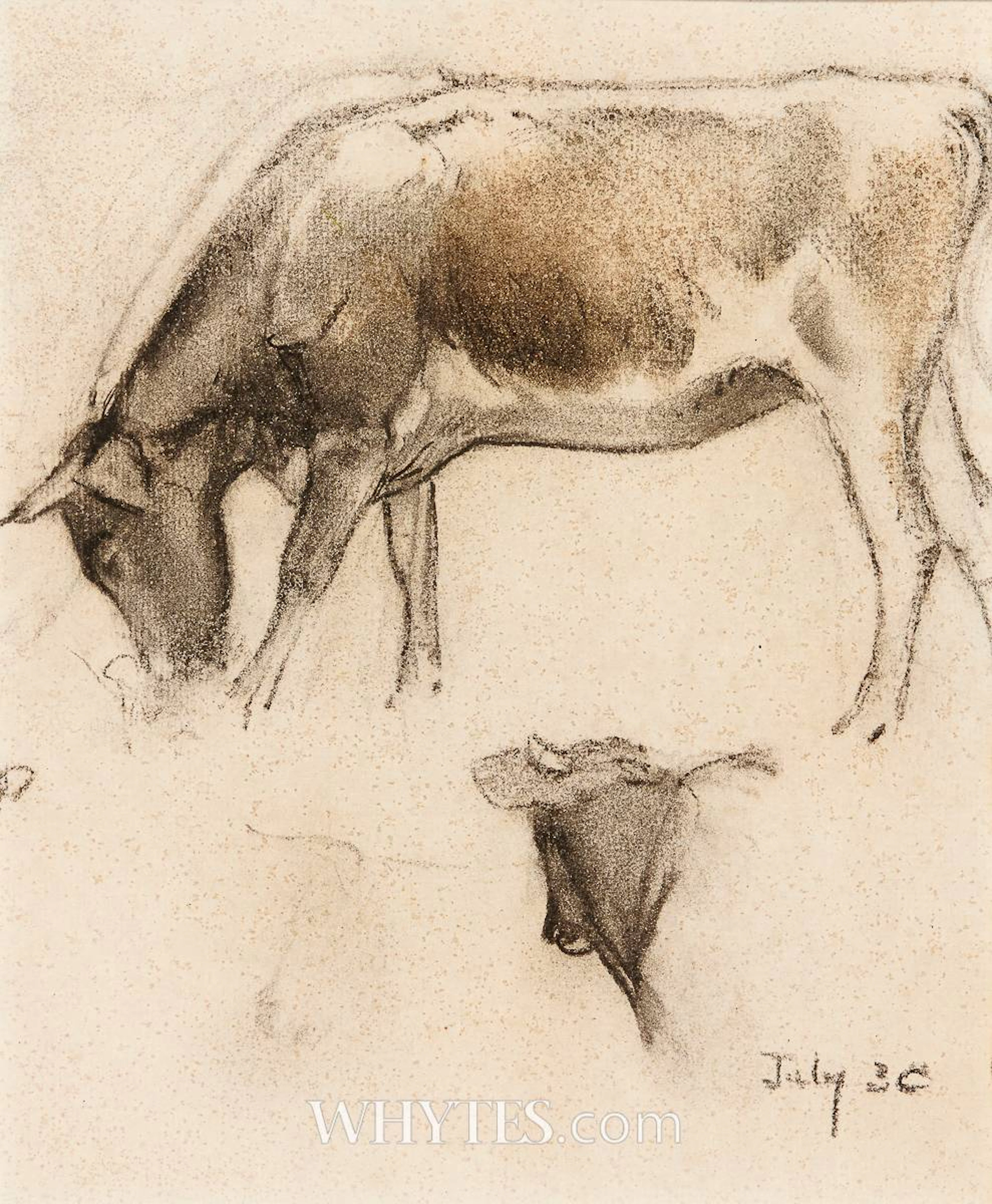 STUDIES OF A COW, 1930
