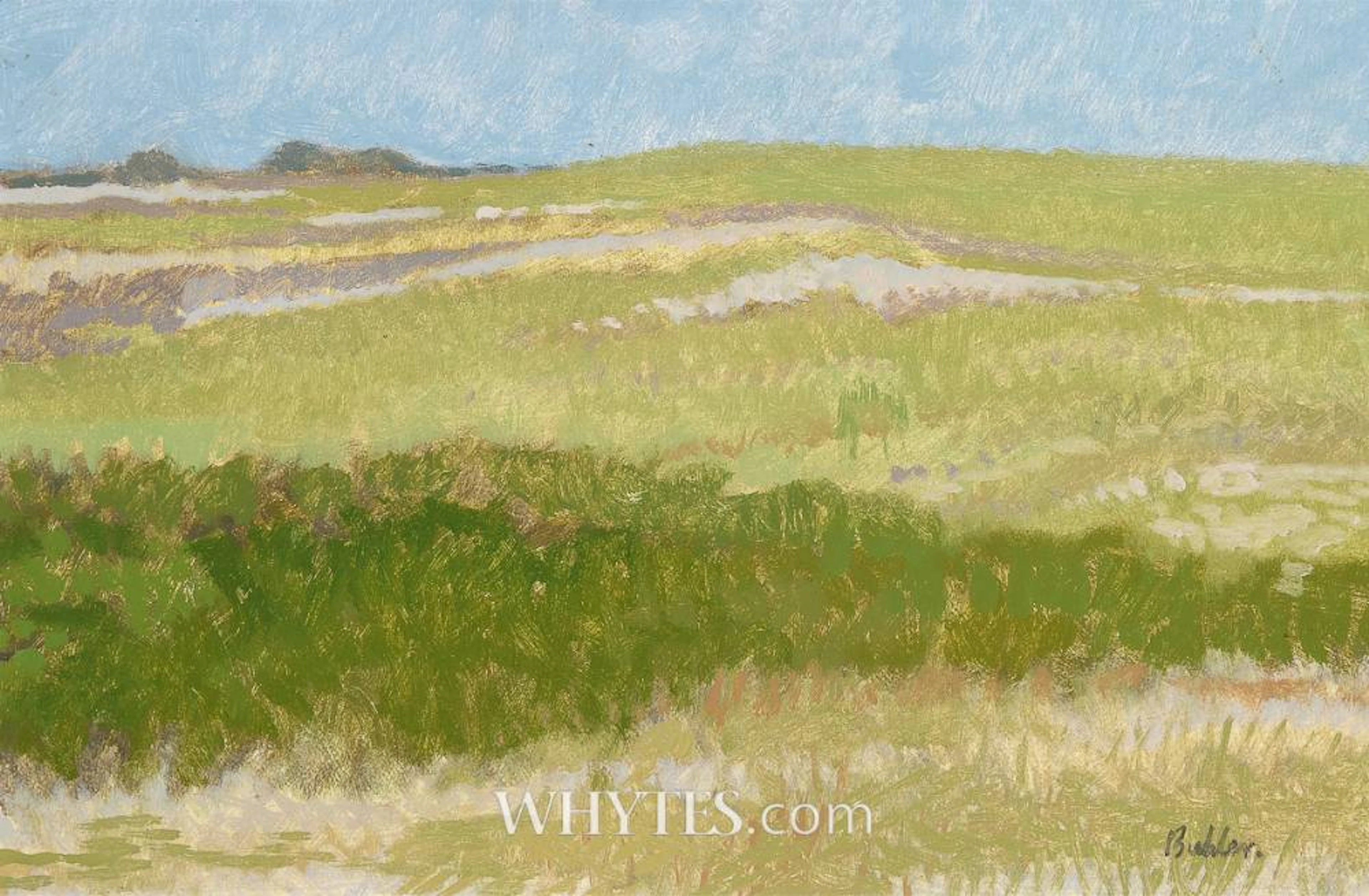SAND DUNES, AMAGANSET, LONG ISLAND, USA