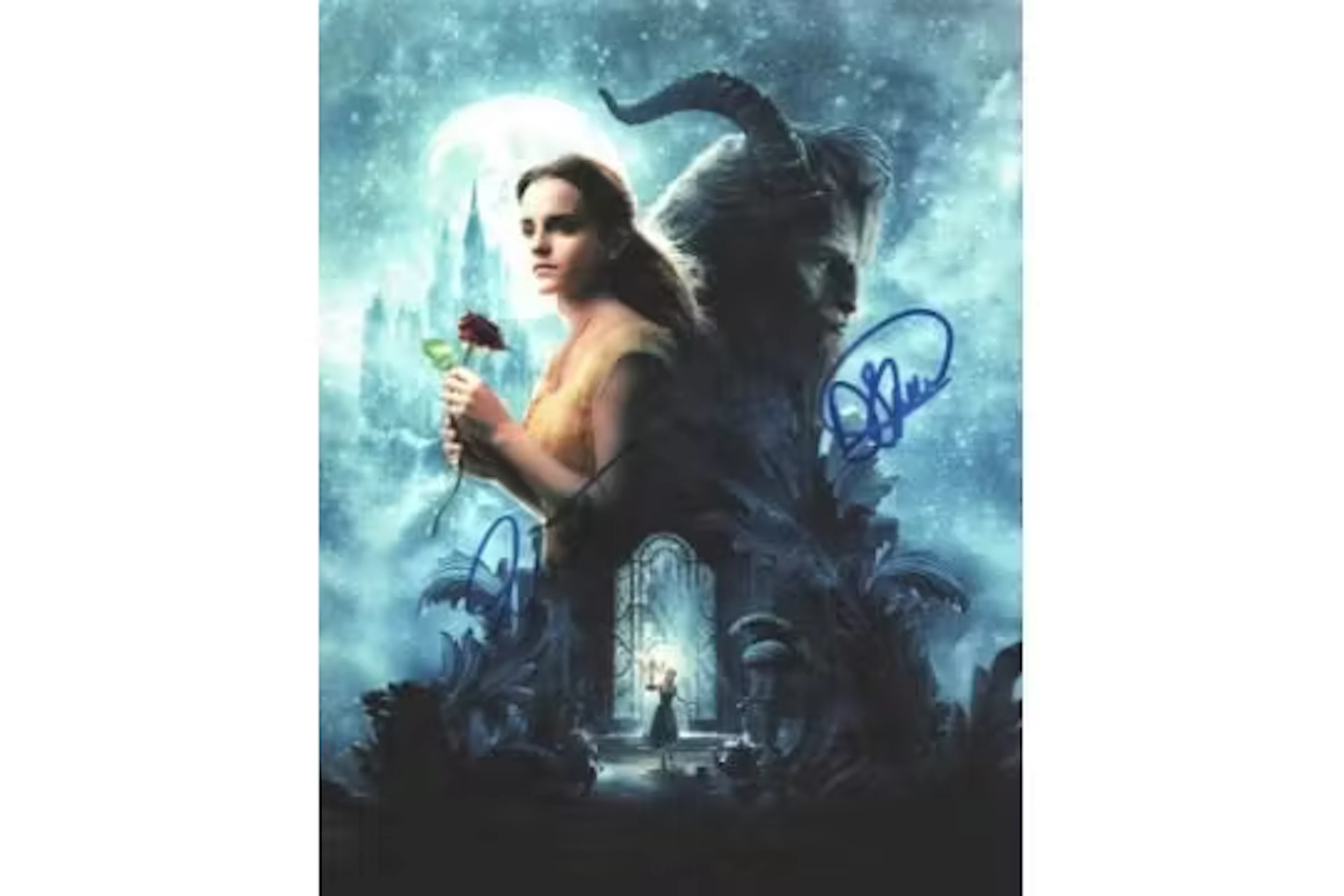 Emma Watson and Dan Stevens signed 10x8inch colour photo.. Good condition.
