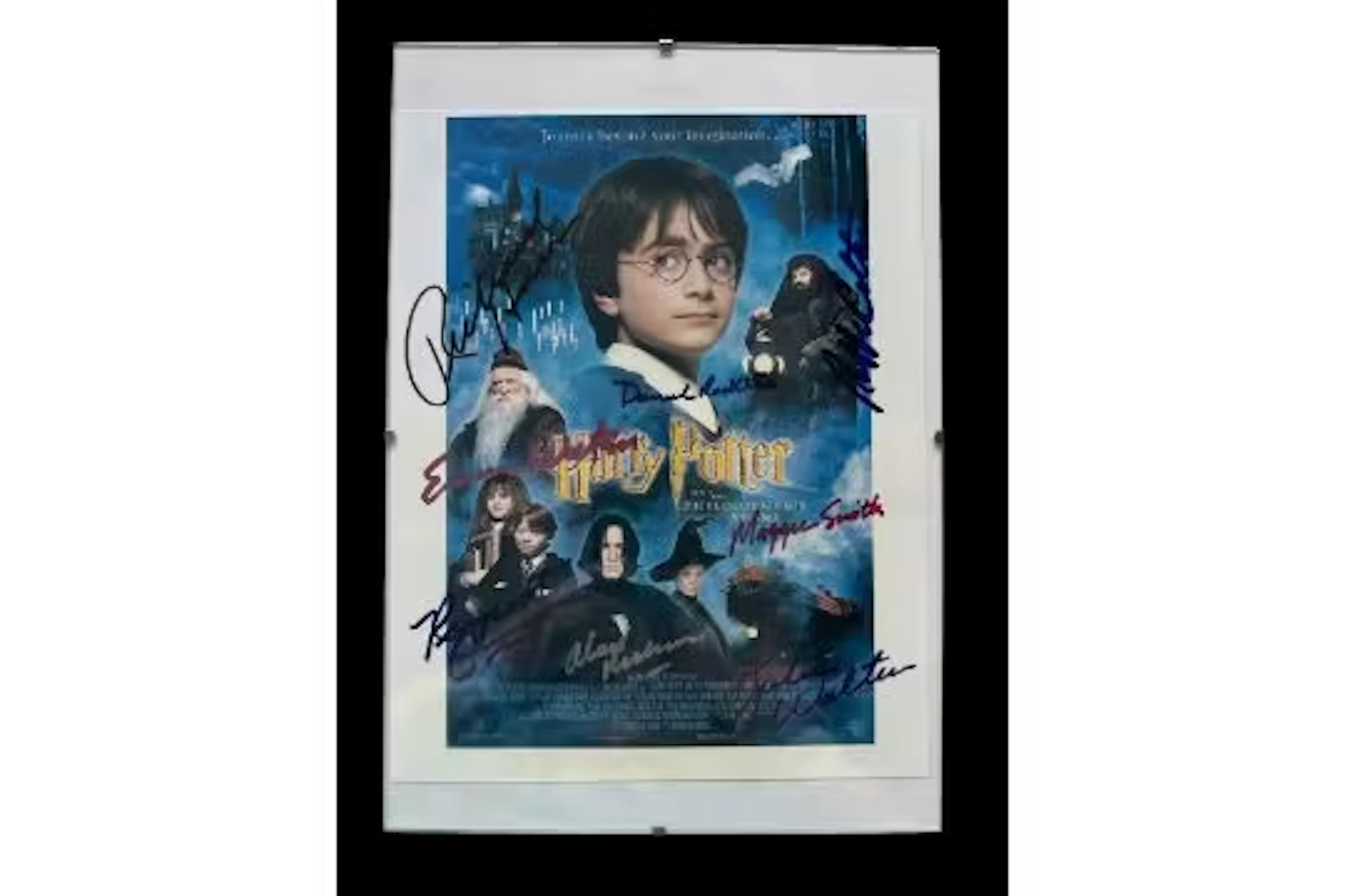 Harry Potter multi signed 10x8 inch colour photo. Signed by Richard