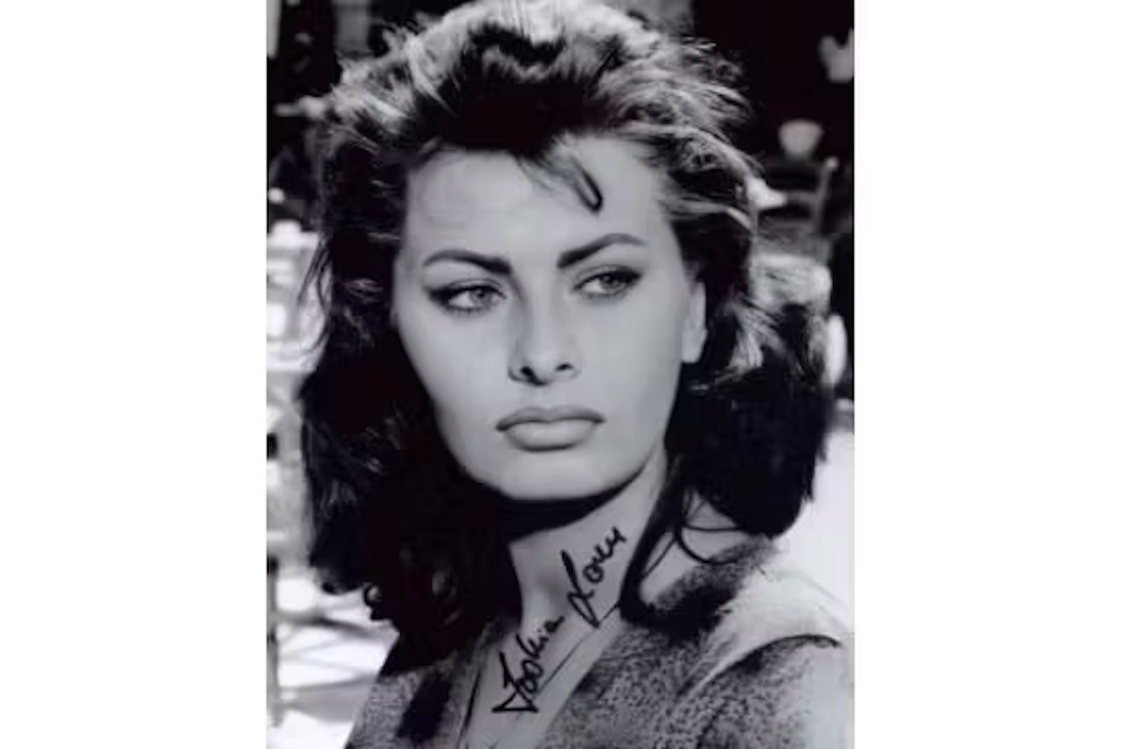 Sophia Loren signed 10x8 inch black and white photo. Good condition.