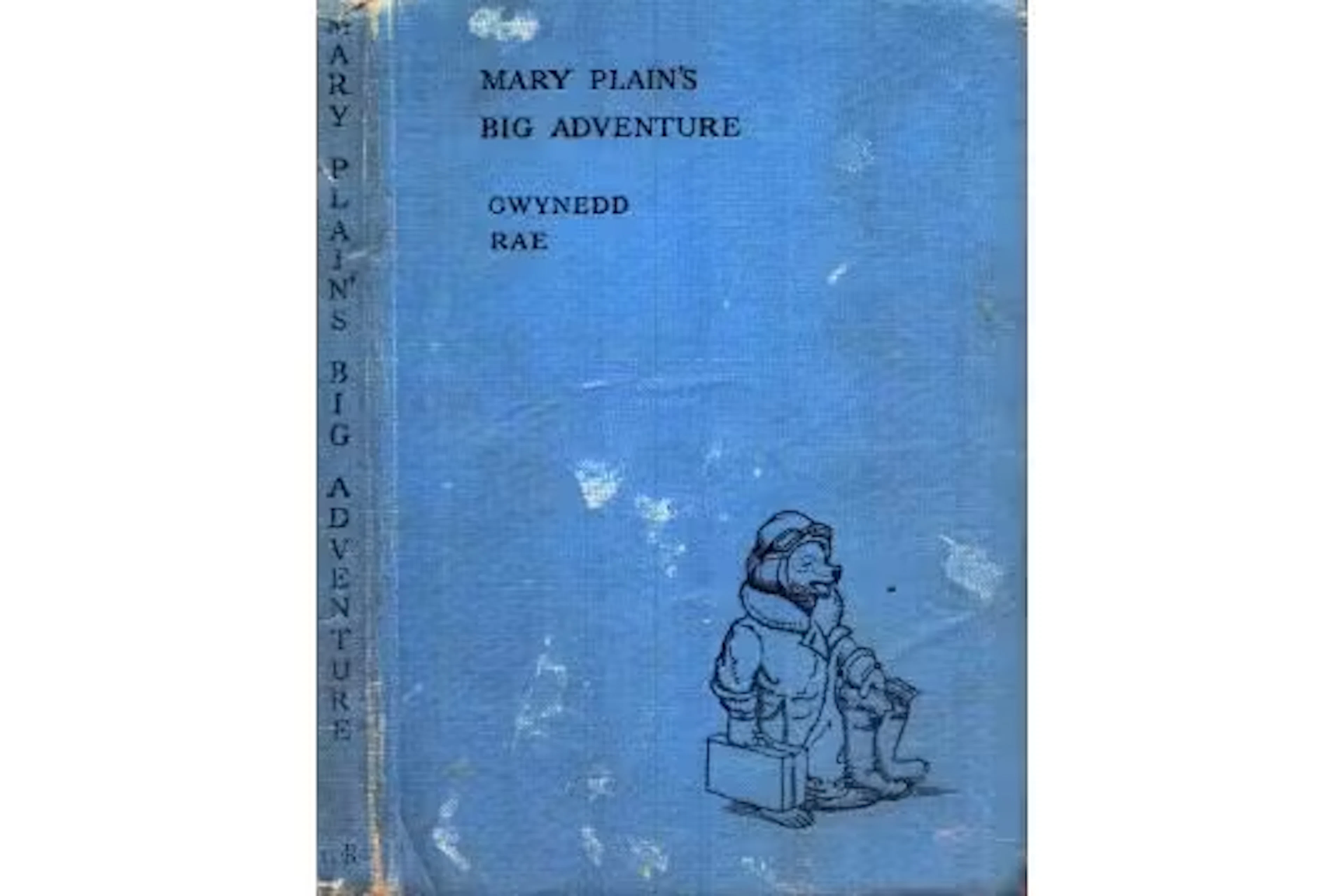 Mary Plain's Big Adventure, by Gwynedd Rae. Illustrated by Irene Williamson.