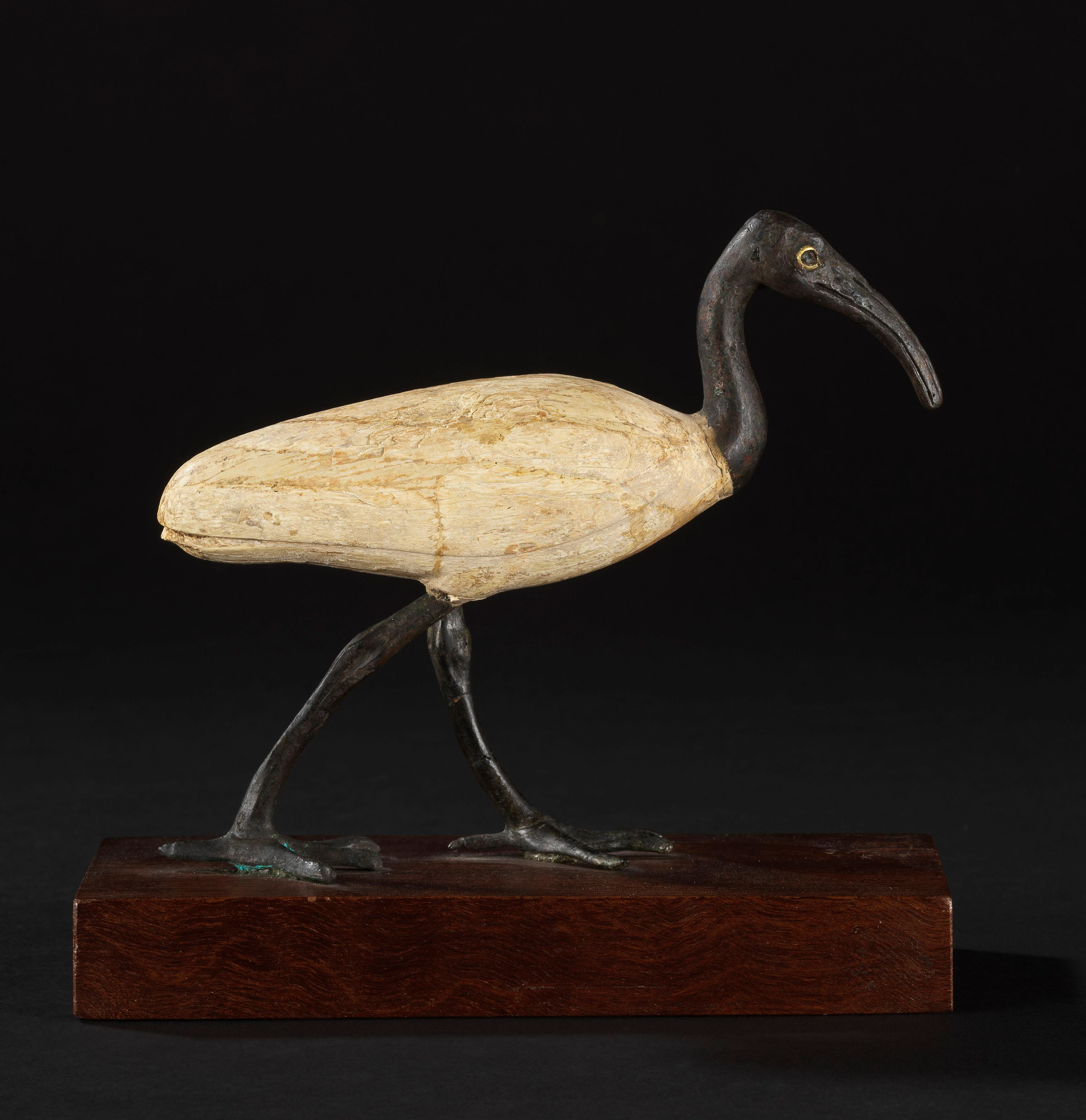Ibis marchant, Egypte, probablement XXVIe dynastie