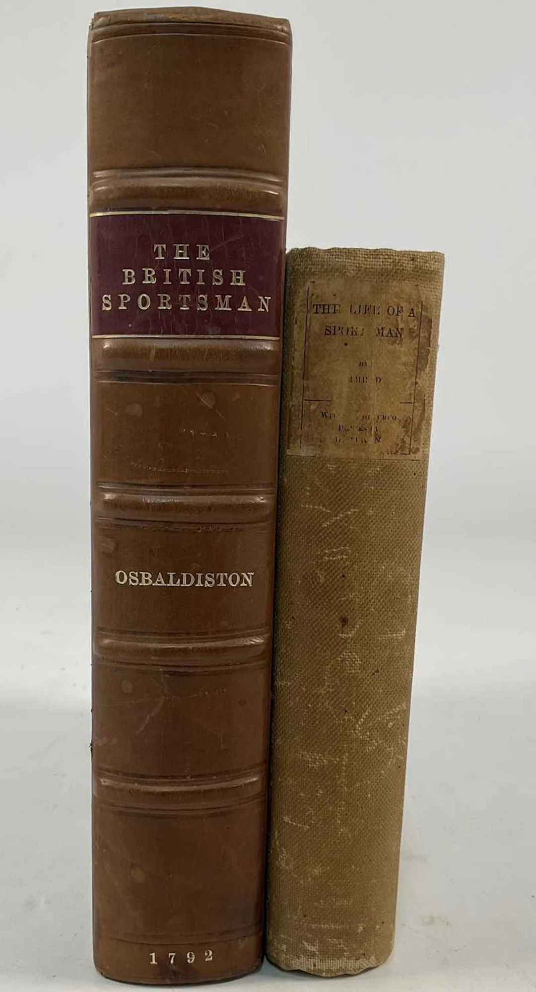 The British Sportsman